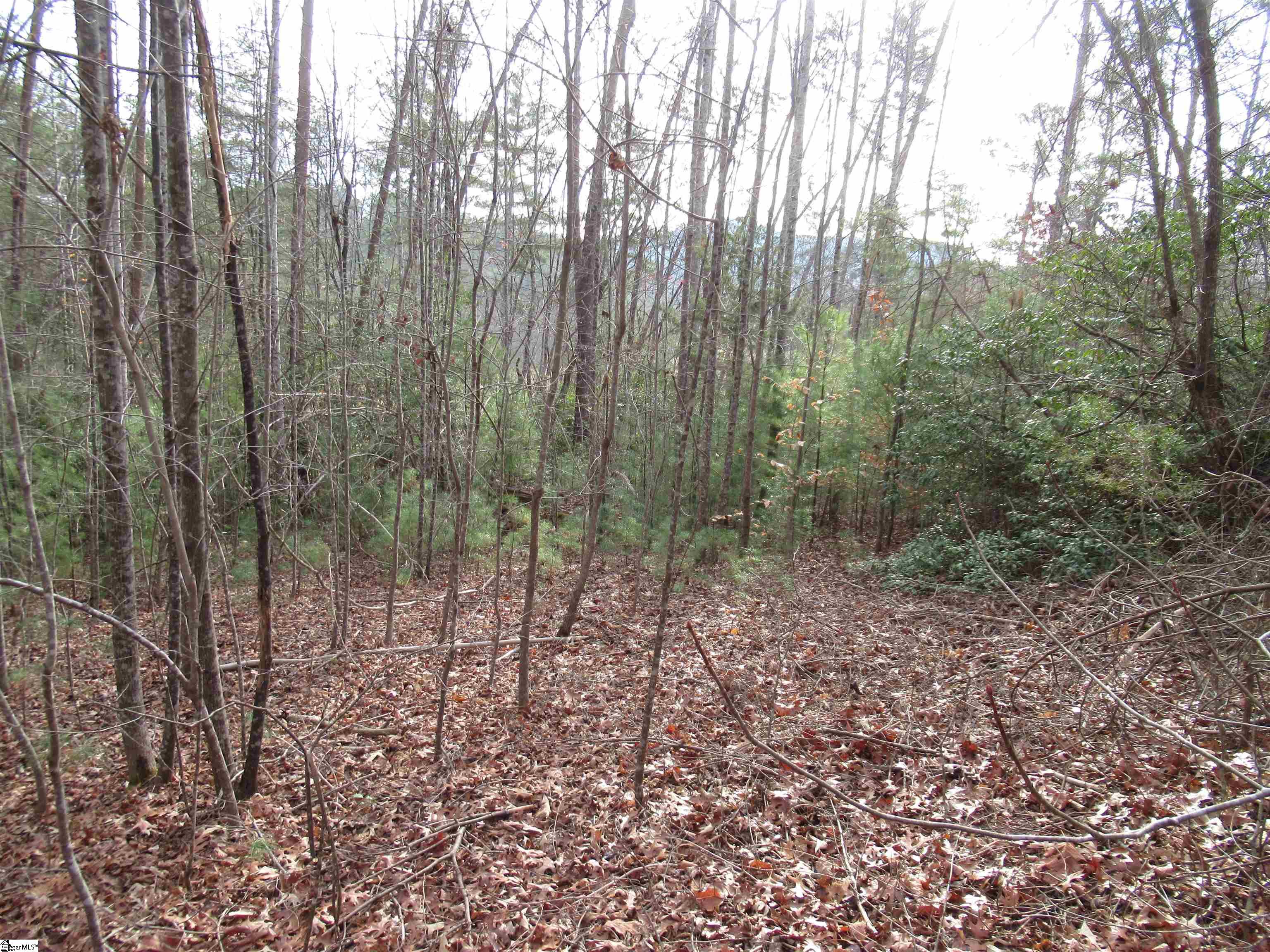 116 Fireside Lane Property Photo 8