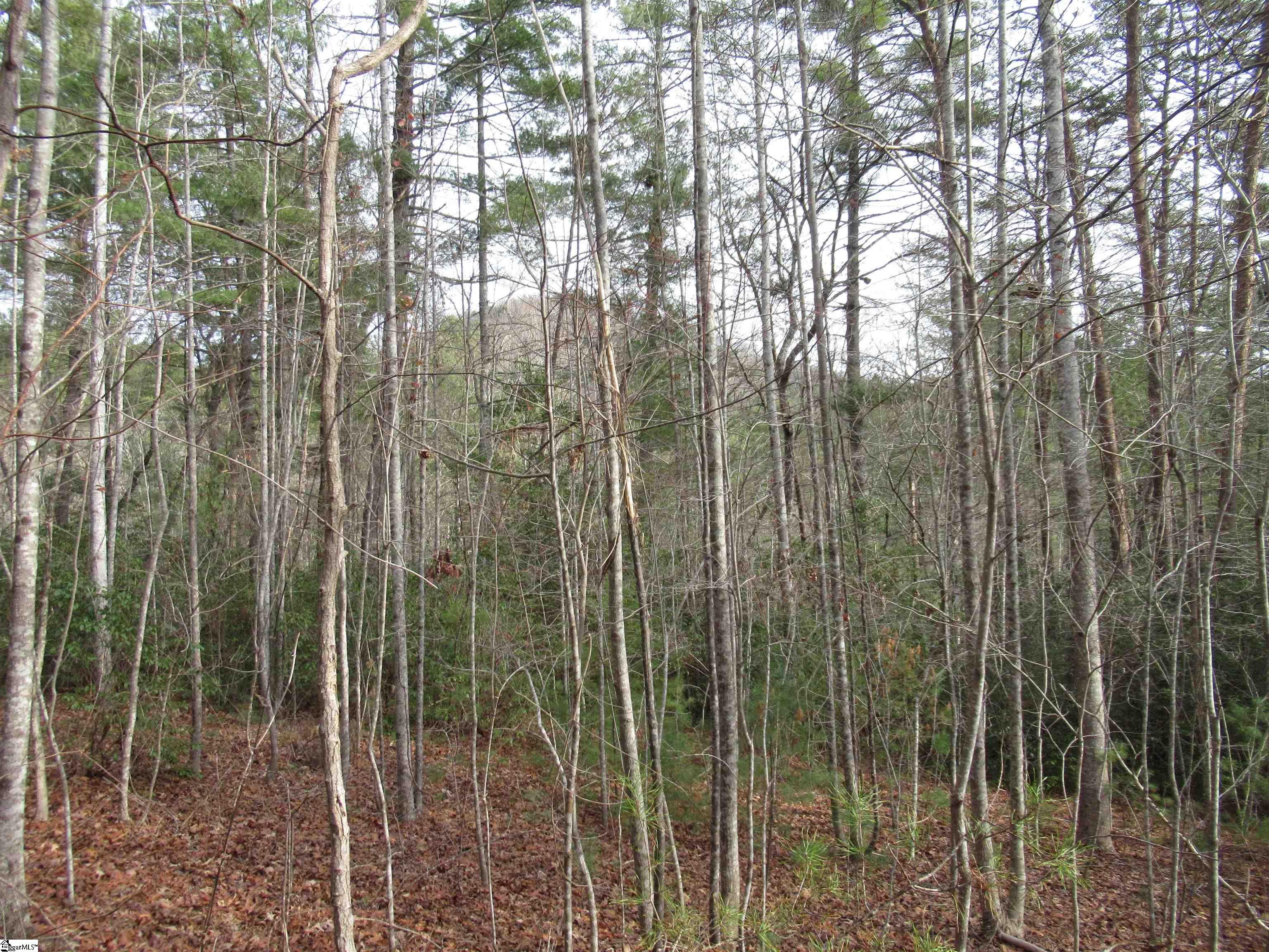 116 Fireside Lane Property Photo 9