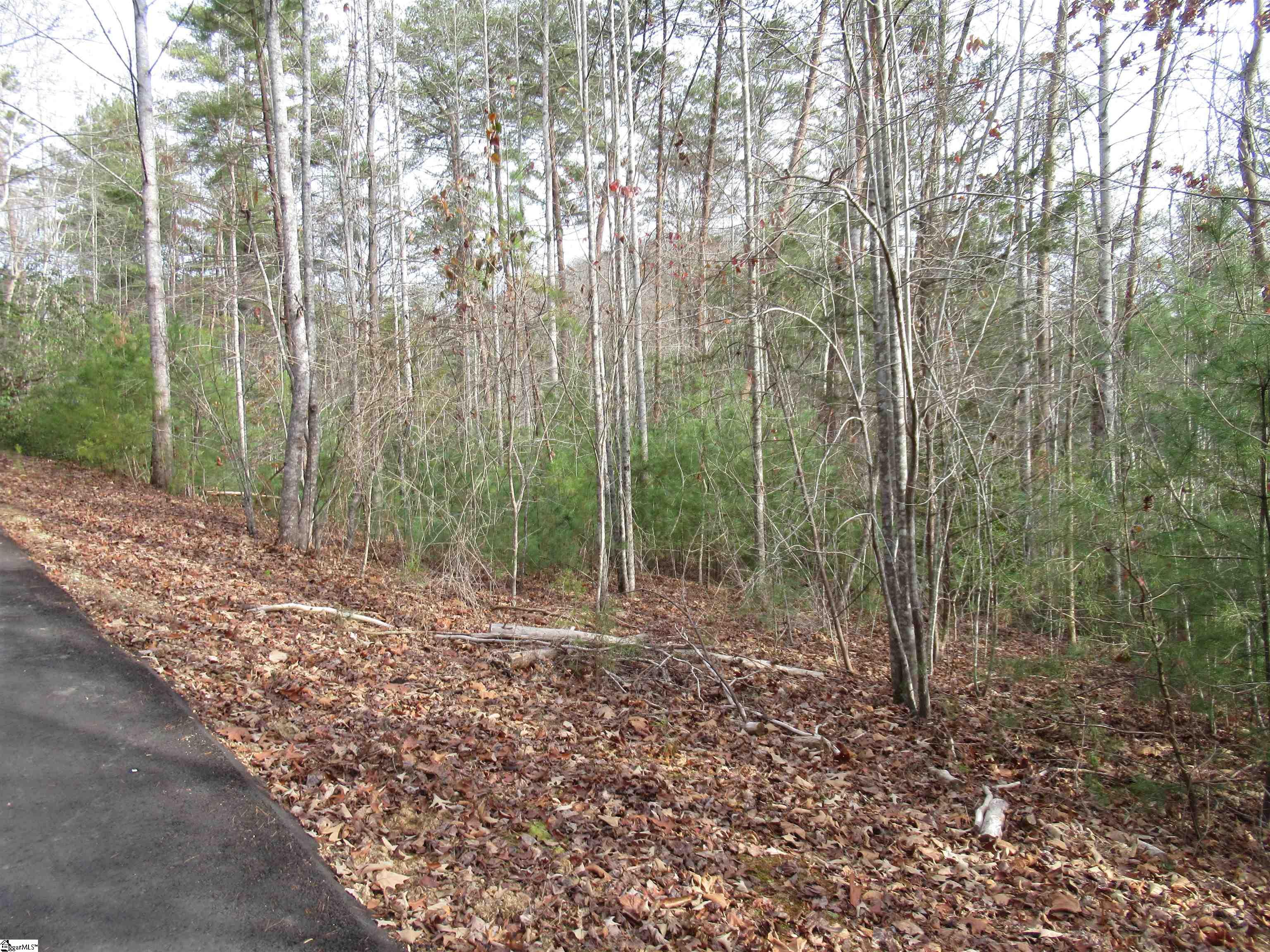 116 Fireside Lane Property Photo 10