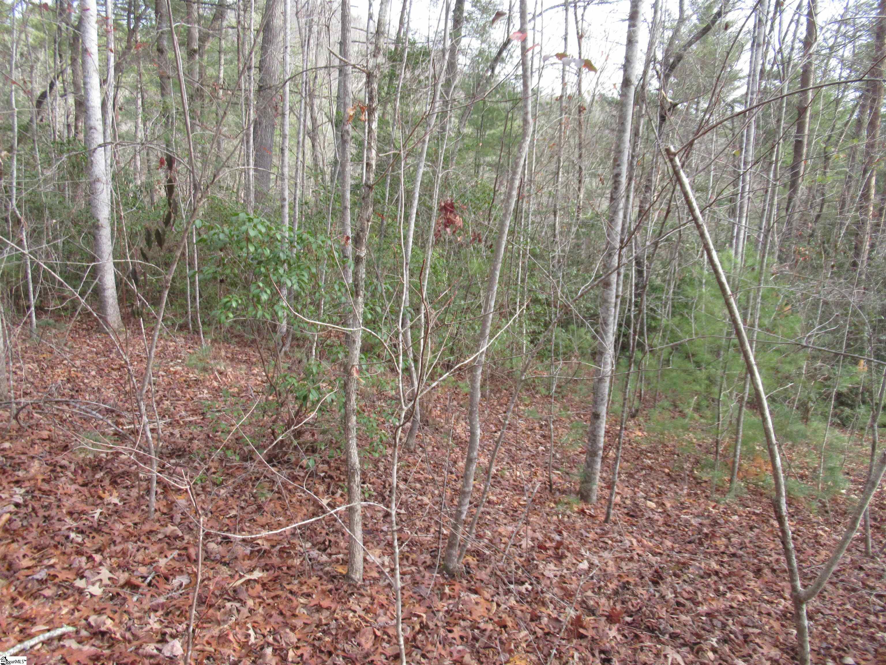 116 Fireside Lane Property Photo 11