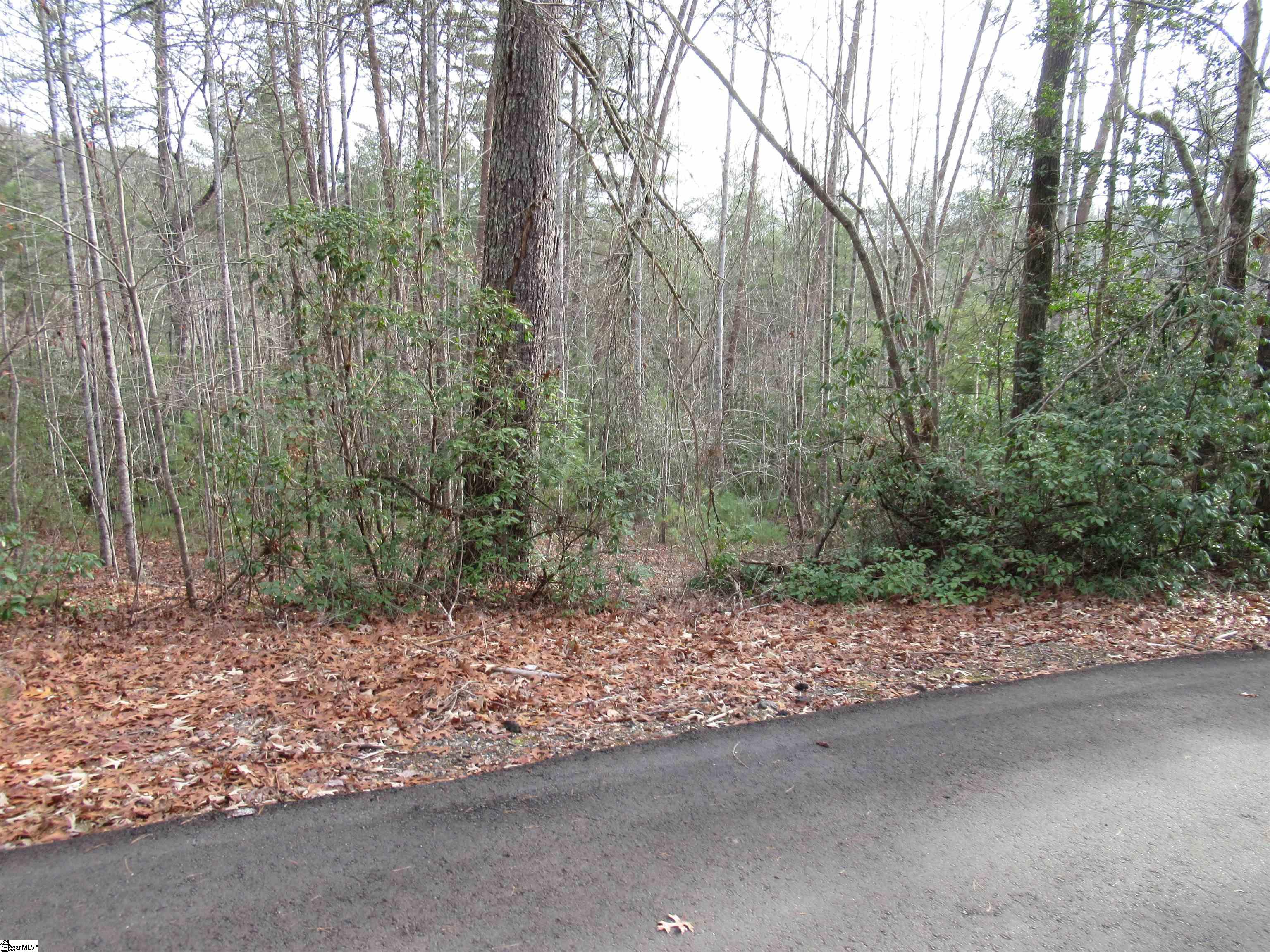116 Fireside Lane Property Photo 13