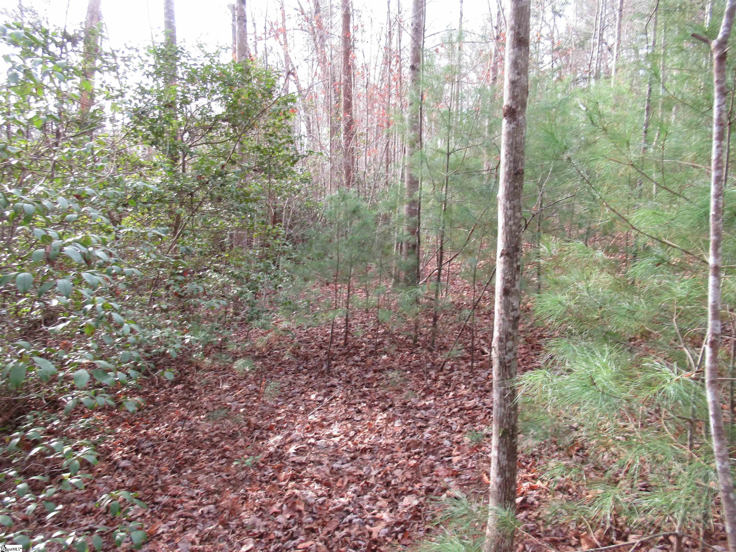 116 Fireside Lane Property Photo 15