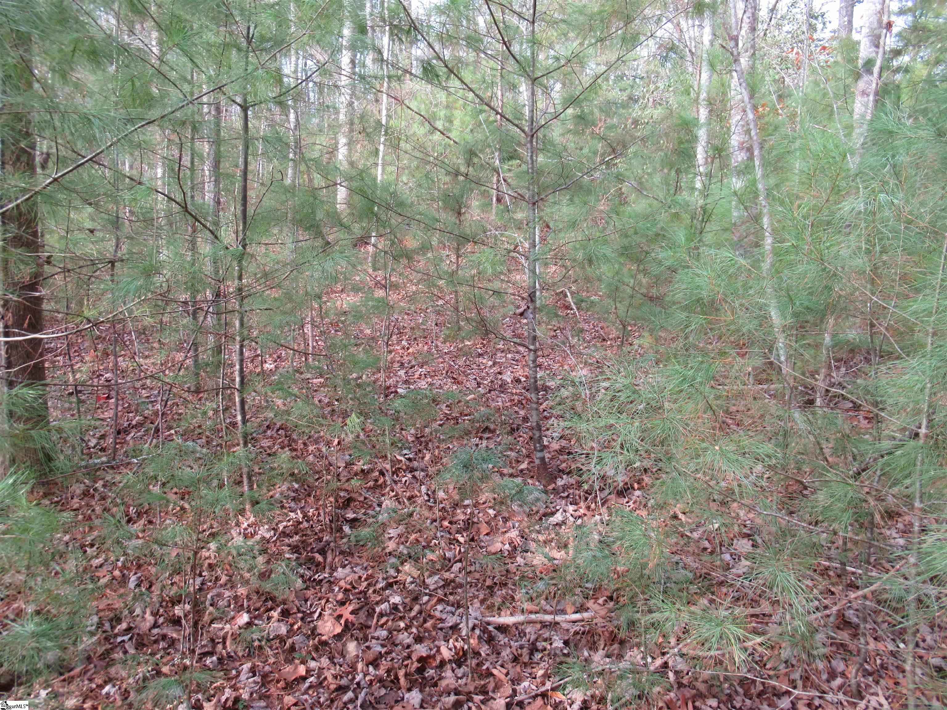 116 Fireside Lane Property Photo 16