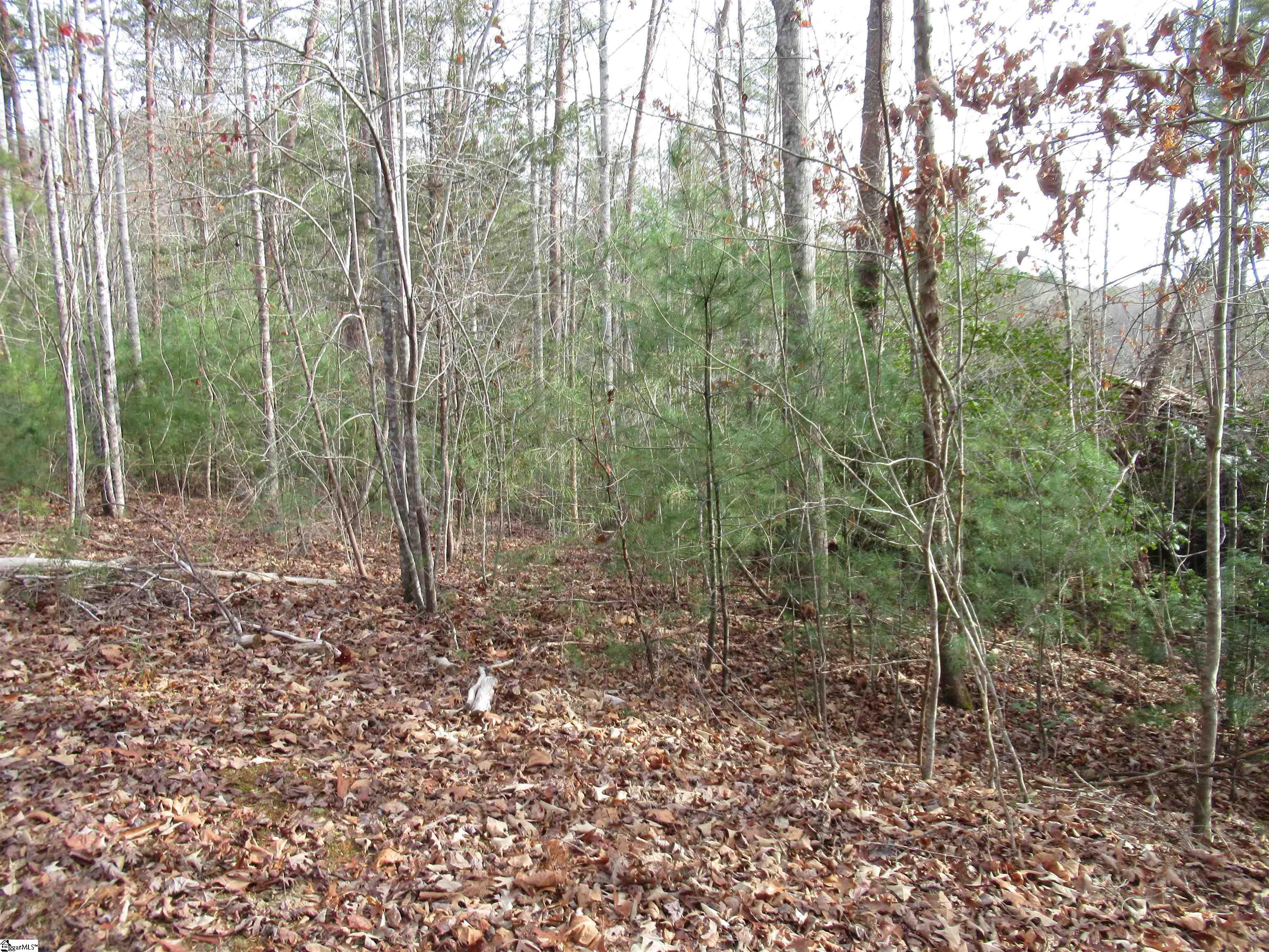 116 Fireside Lane Property Photo 17