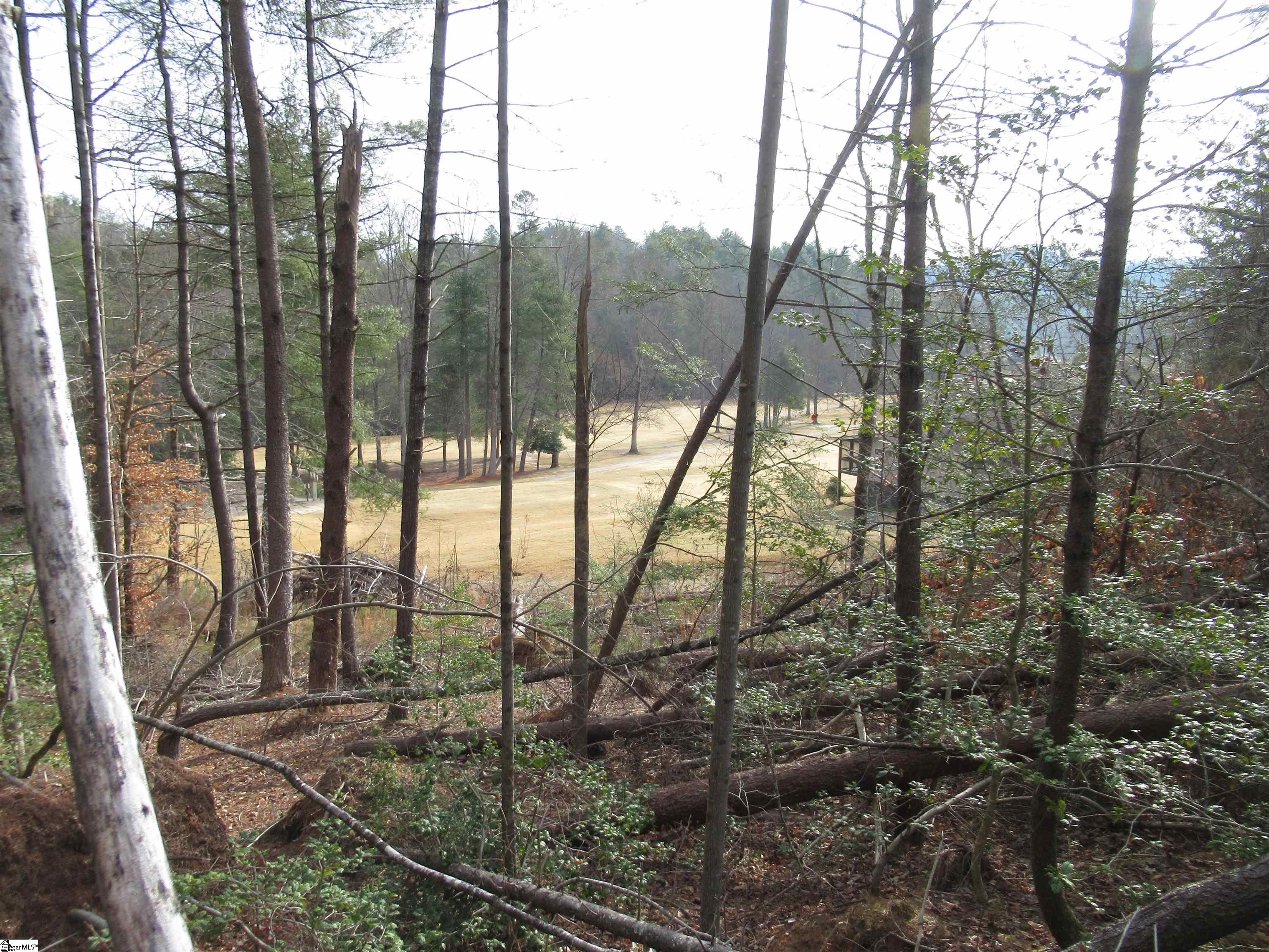 116 Fireside Lane Property Photo 18