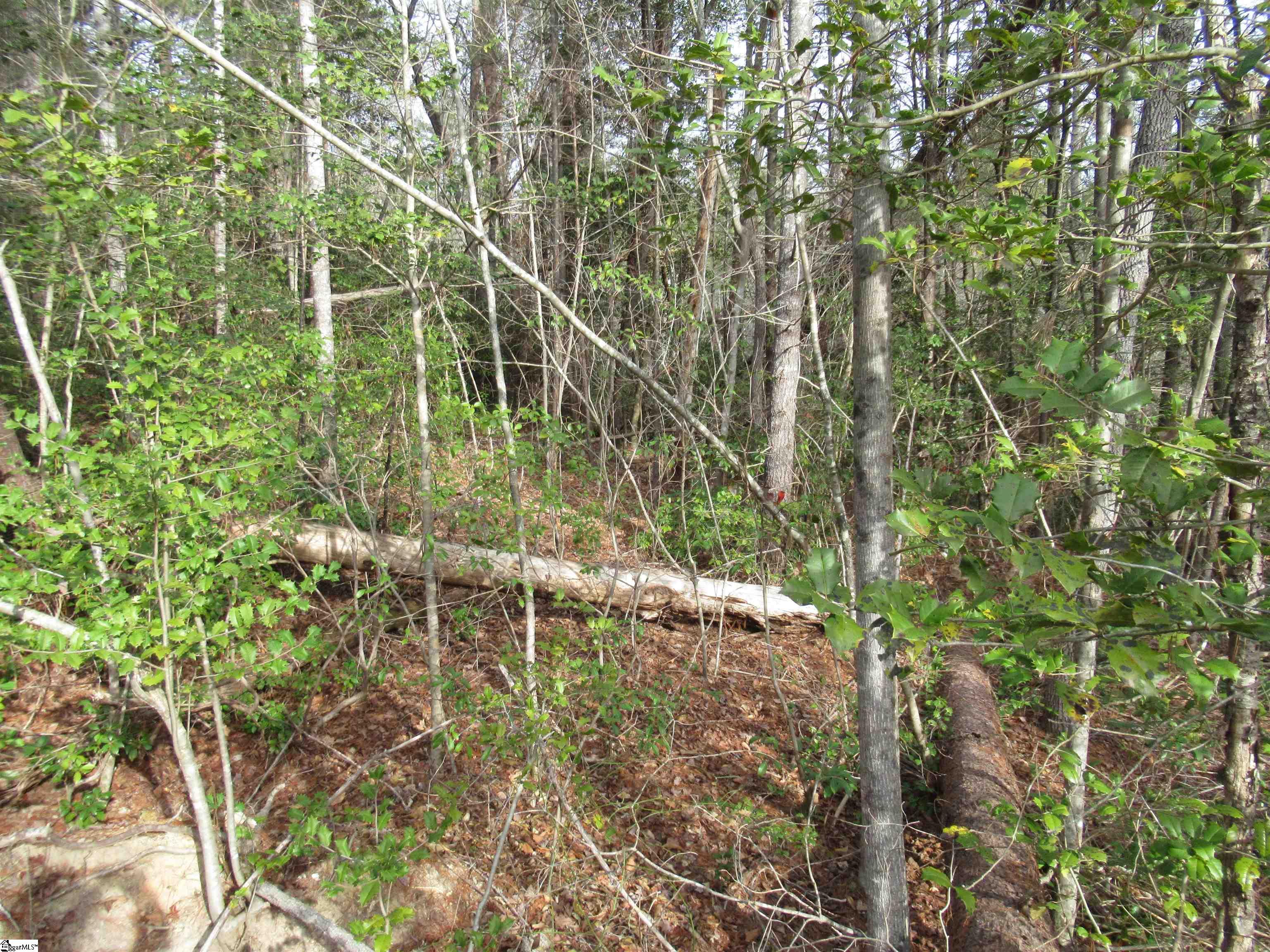 116 Fireside Lane Property Photo 20