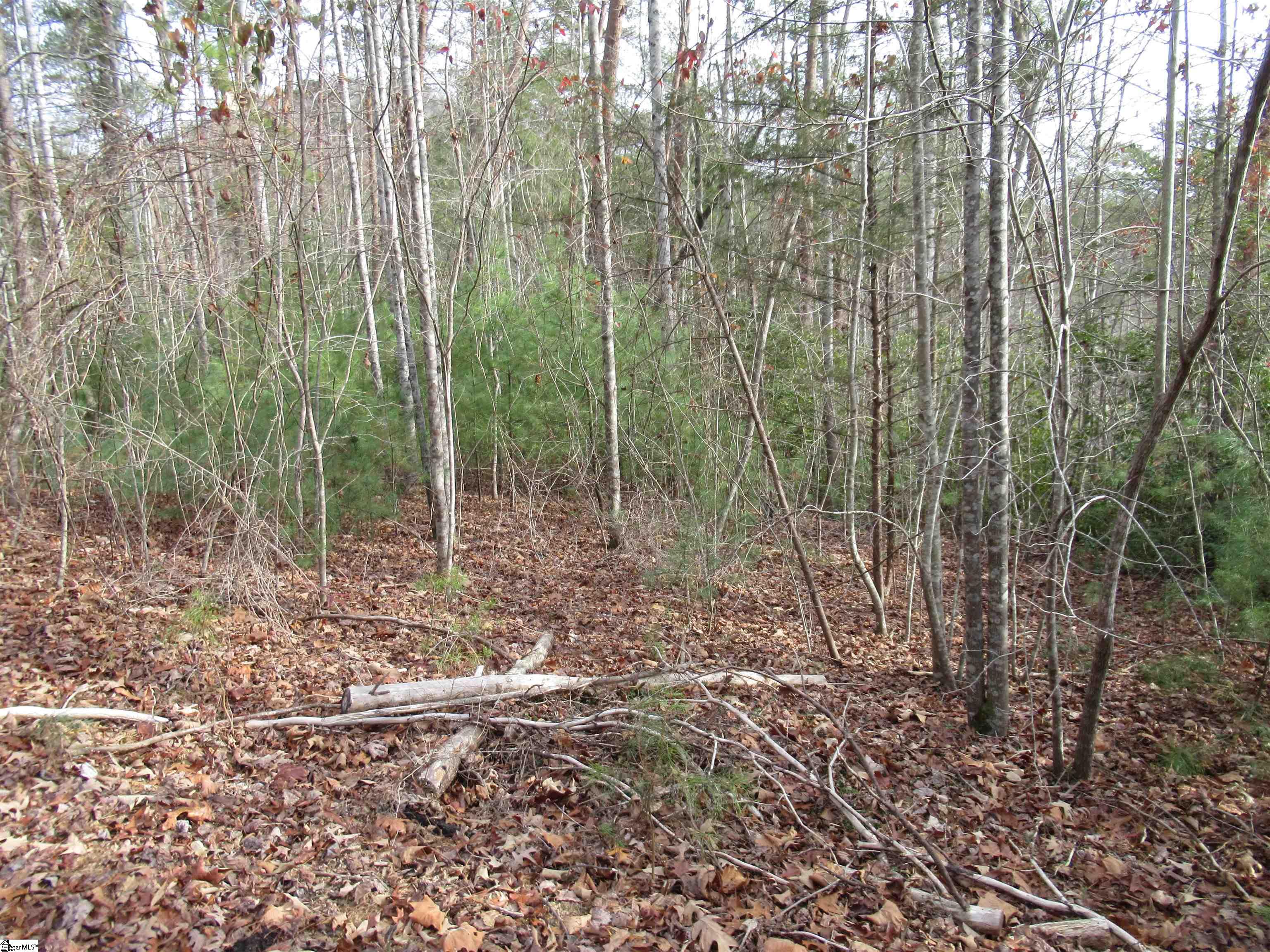 116 Fireside Lane Property Photo 23