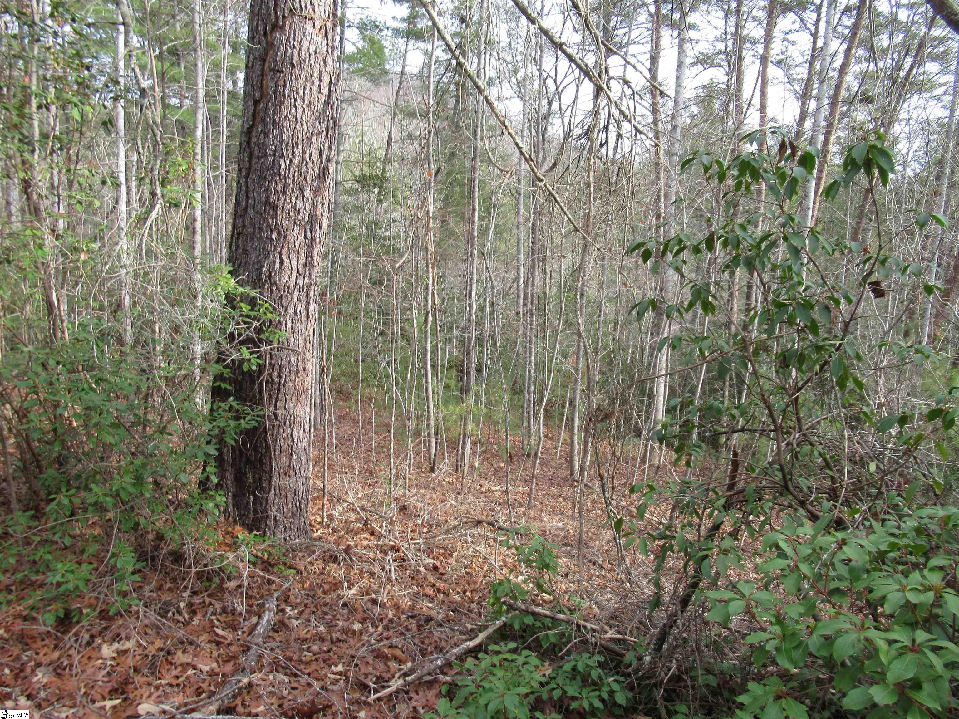 116 Fireside Lane Property Photo 25