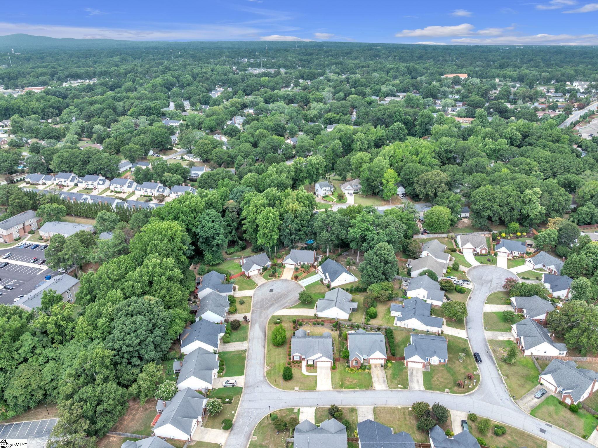 108 Raintree Cove Drive Property Photo 29