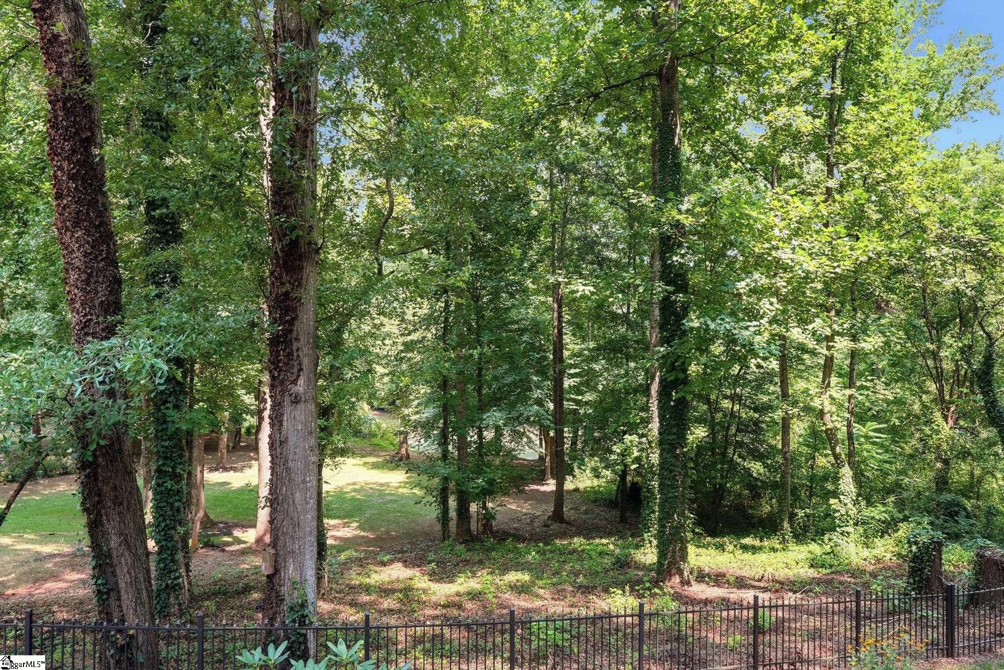 123 Birch River Road Property Photo 38