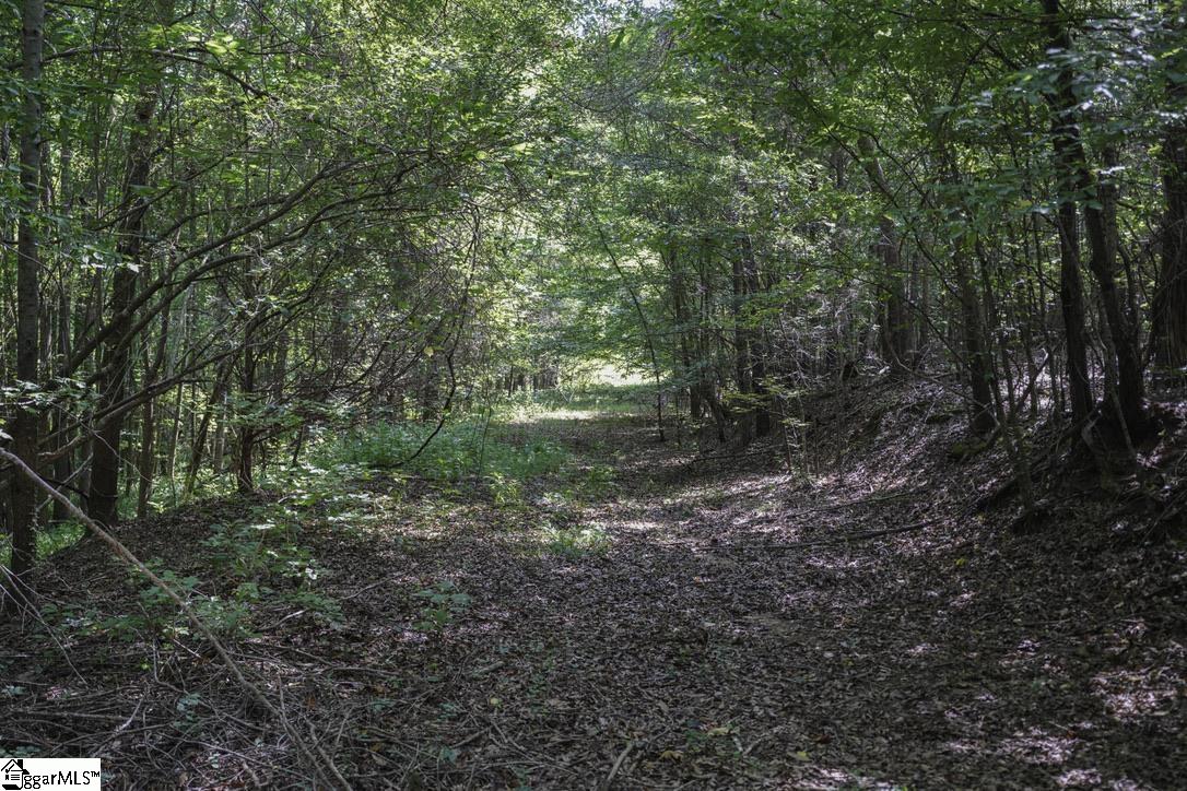 1560 Meansville Road Property Photo 14