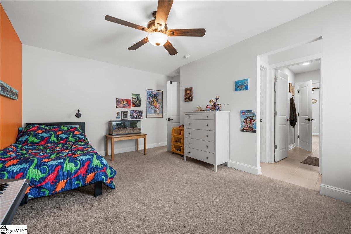 19 Needham Drive Property Photo 38