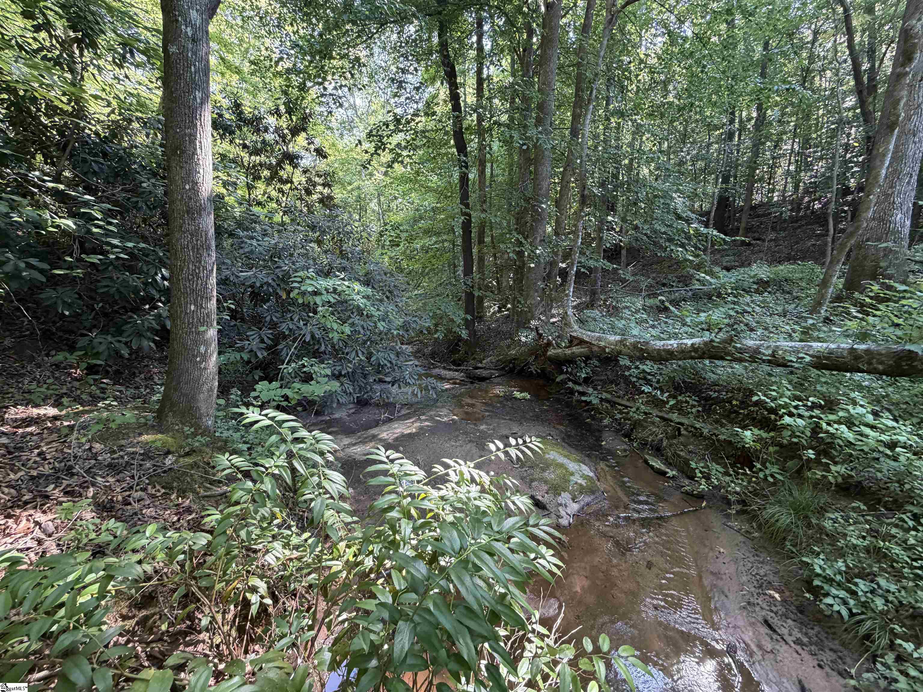 141 Old Sc 11 Property Photo 22
