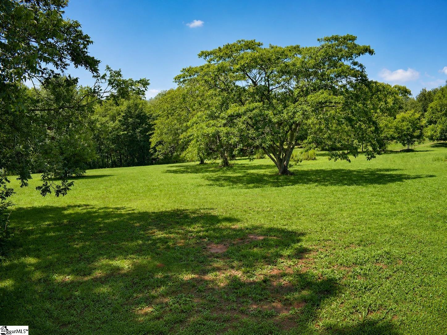 170 Cooper Road Property Photo 24