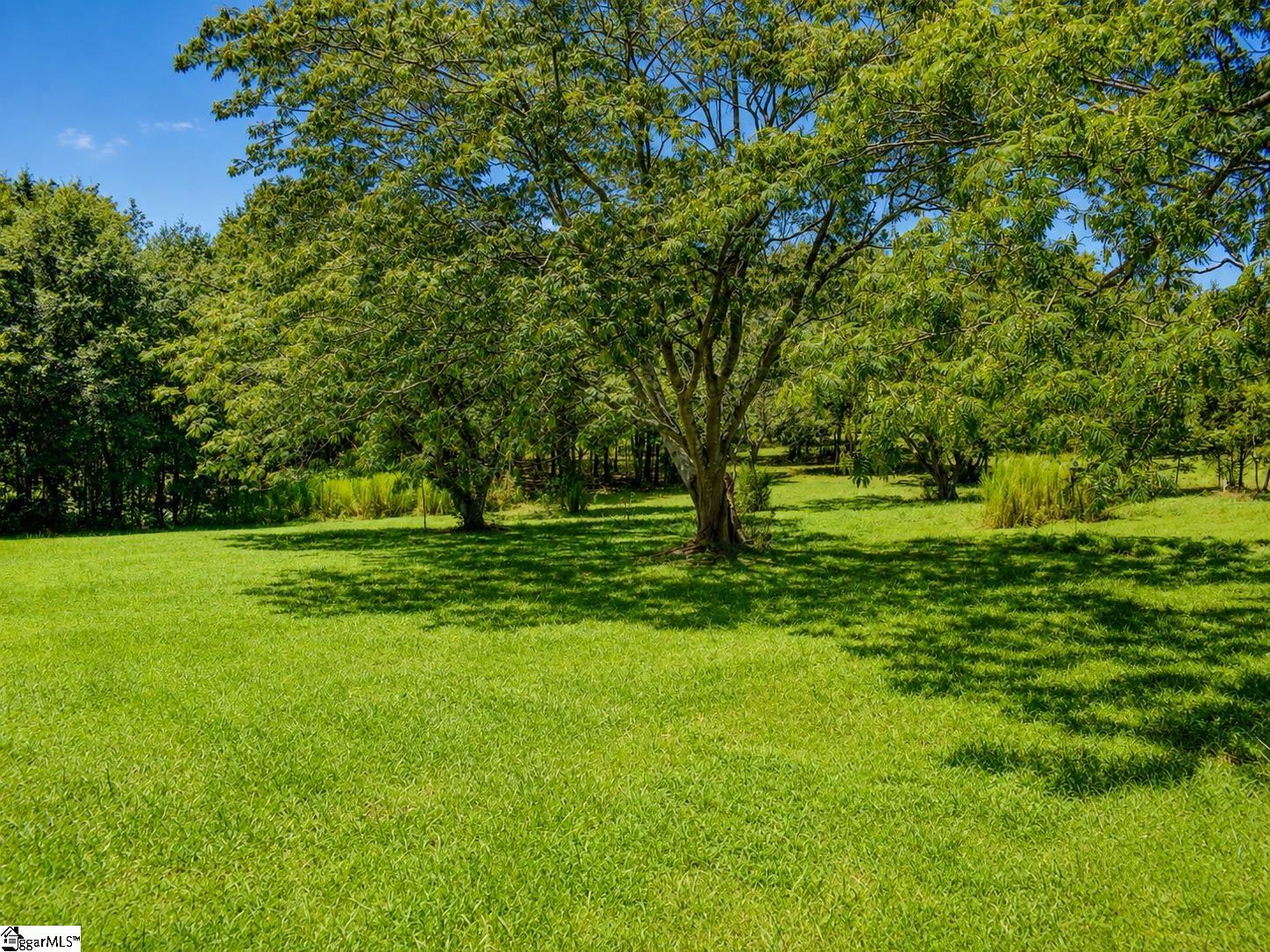 170 Cooper Road Property Photo 26