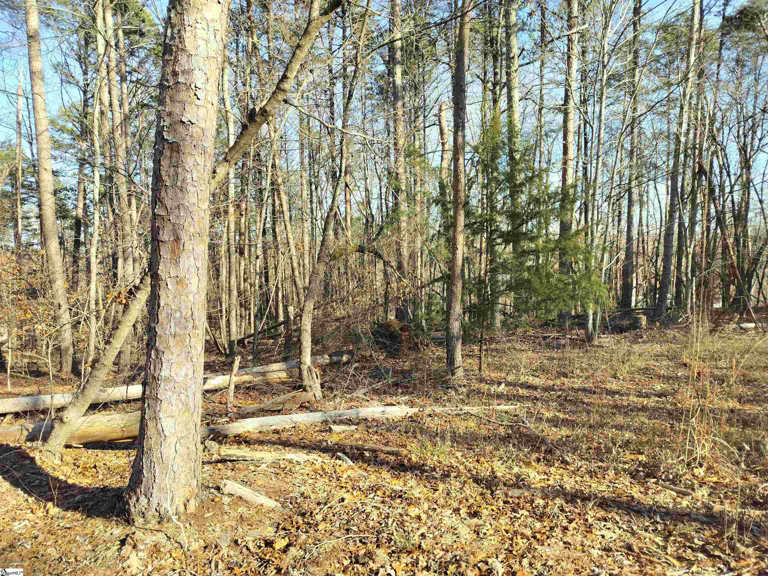 343 Beech Drive Property Photo 1