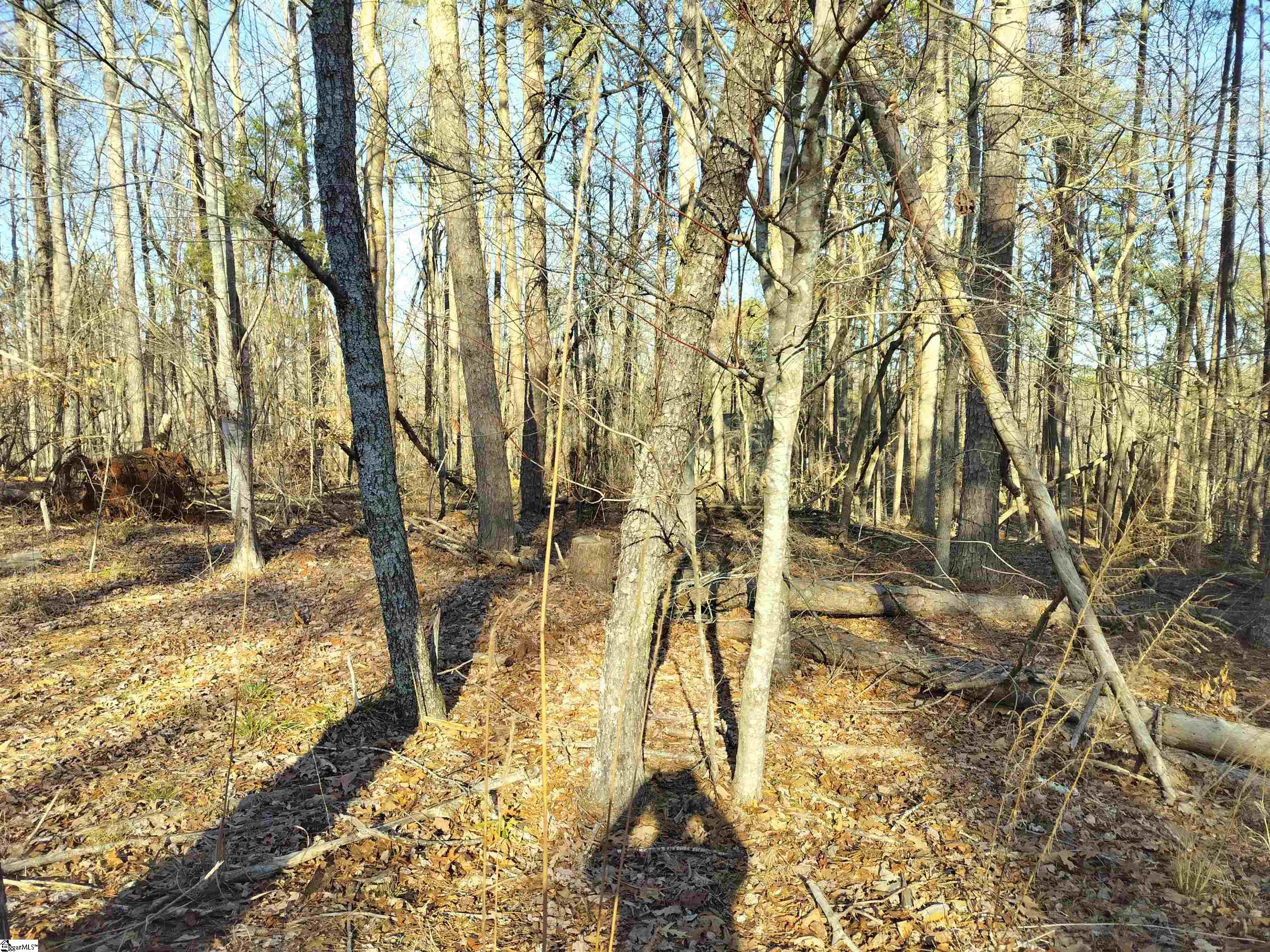 343 Beech Drive Property Photo 2