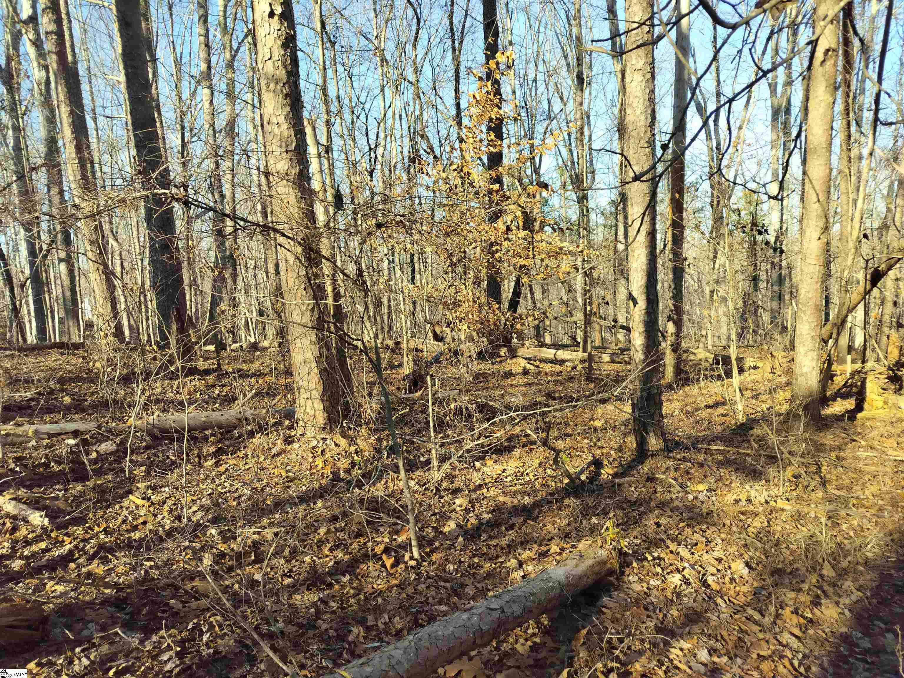 343 Beech Drive Property Photo 4