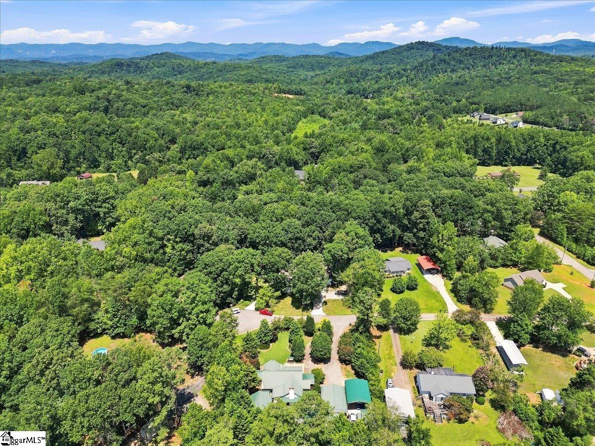 213 Cox Ridge Court Property Photo 40