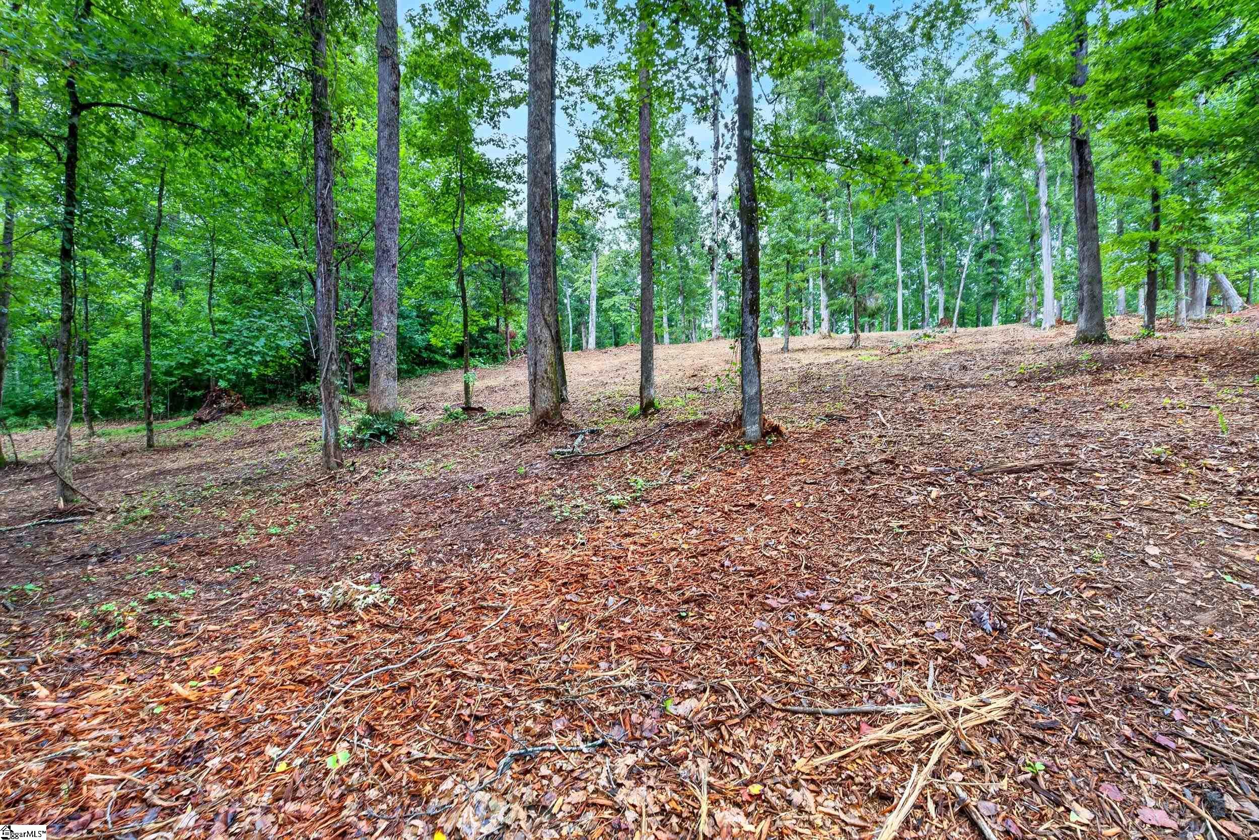 229 W Chapman Road Property Photo 4