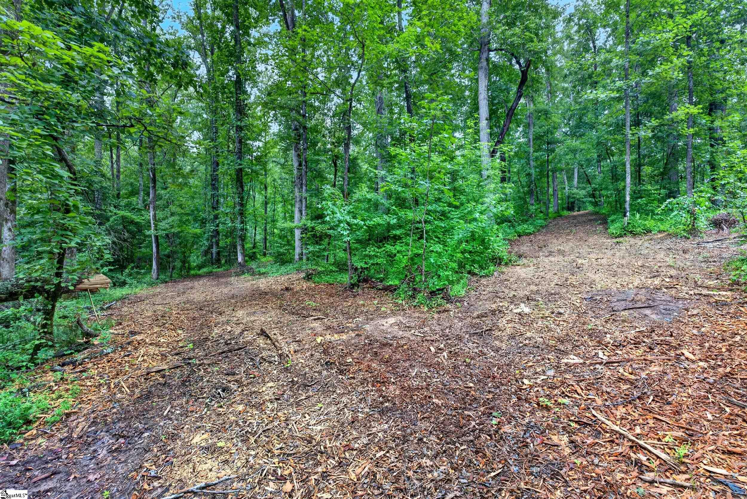 229 W Chapman Road Property Photo 6