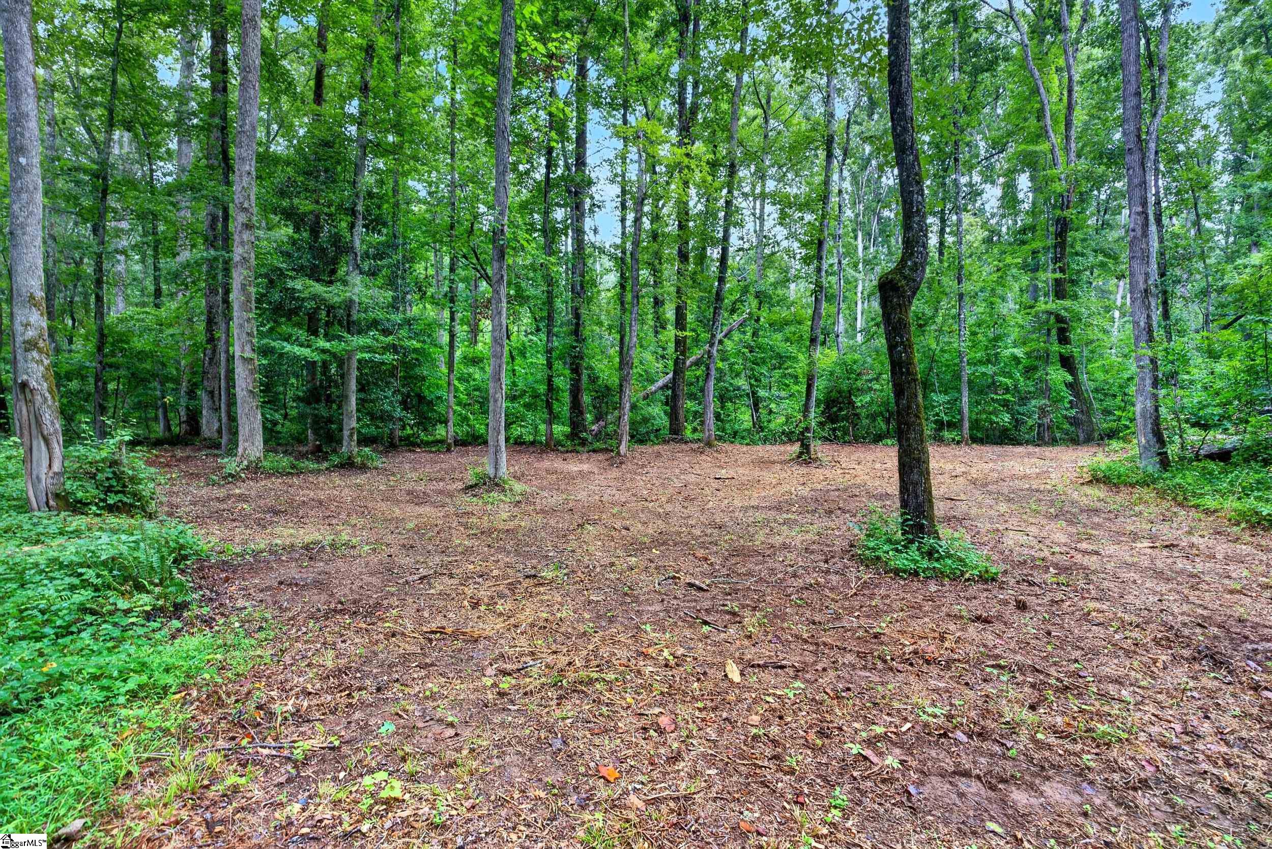 229 W Chapman Road Property Photo 8
