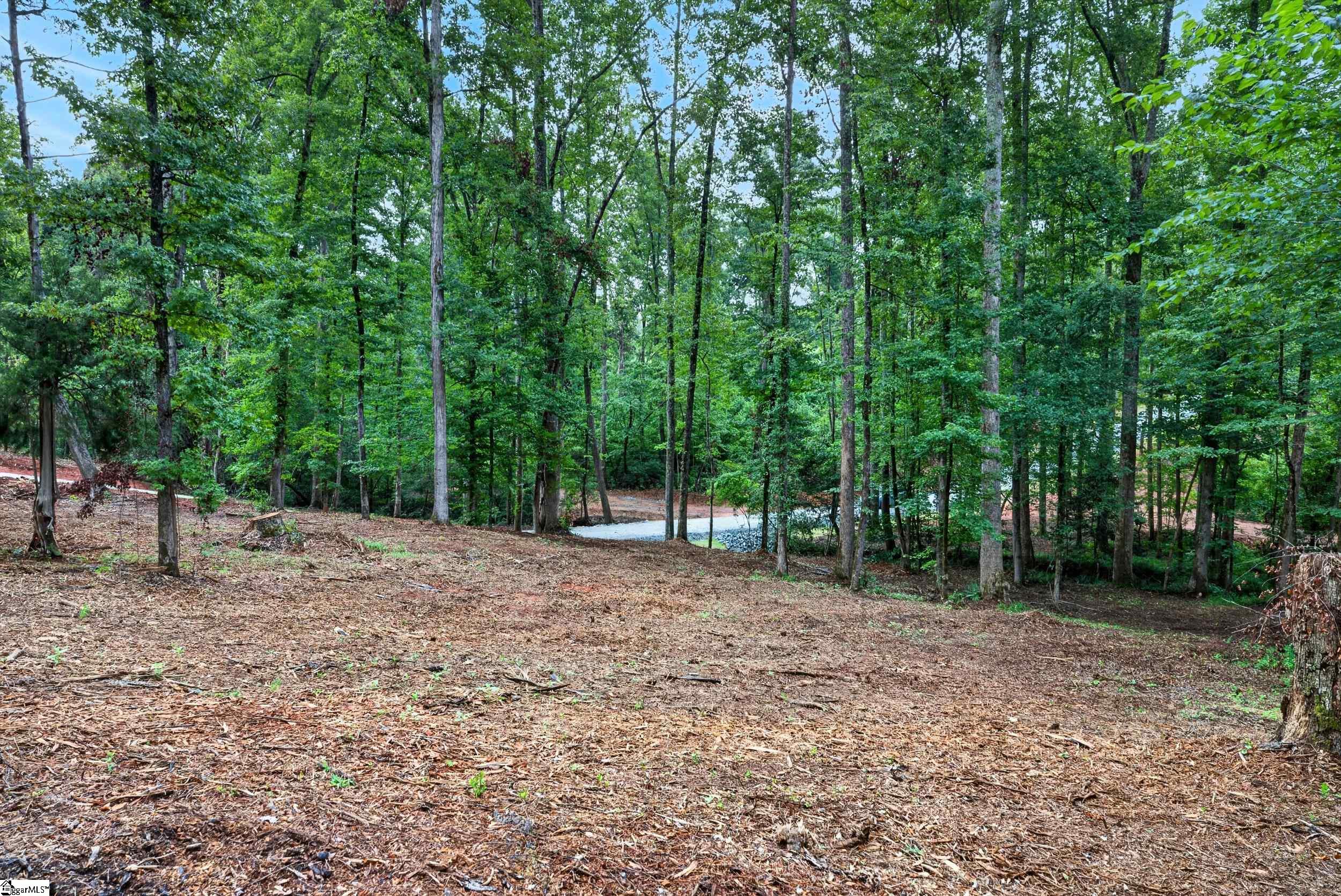 229 W Chapman Road Property Photo 11