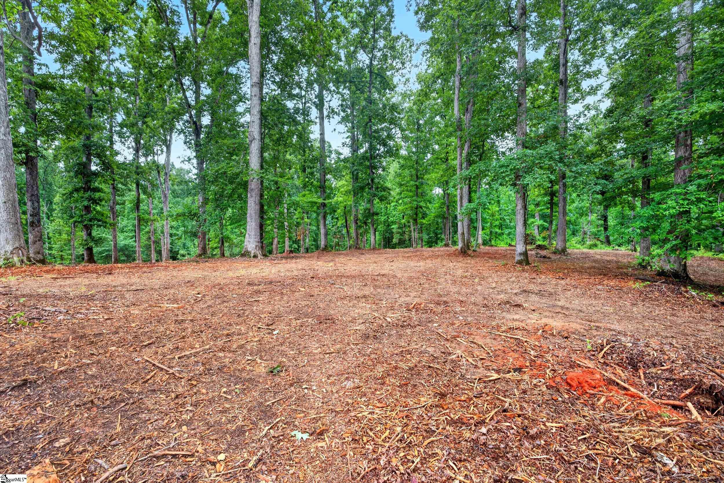 229 W Chapman Road Property Photo 14