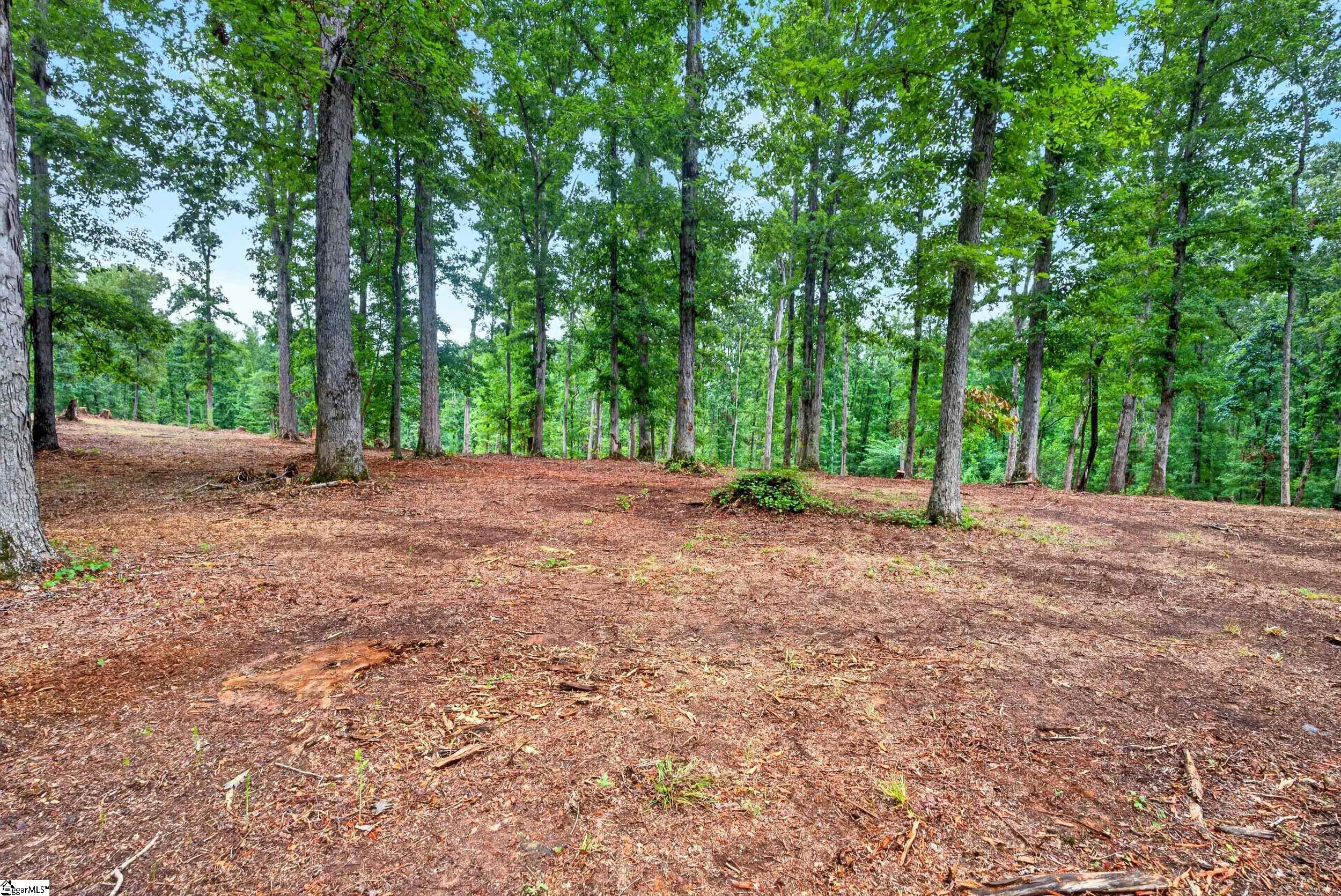 223 W Chapman Road Property Photo 4