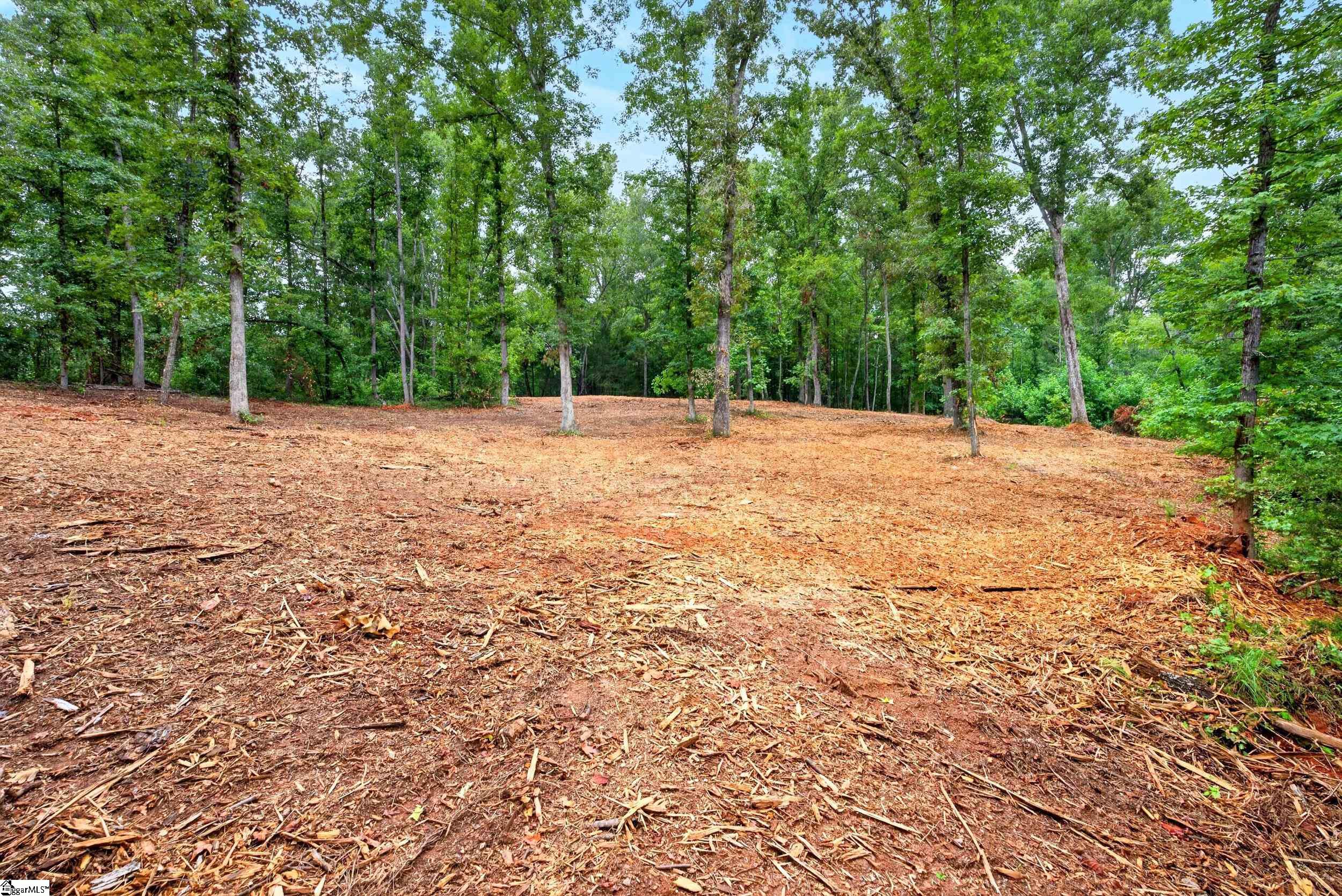 241 W Chapman Road Property Photo 17