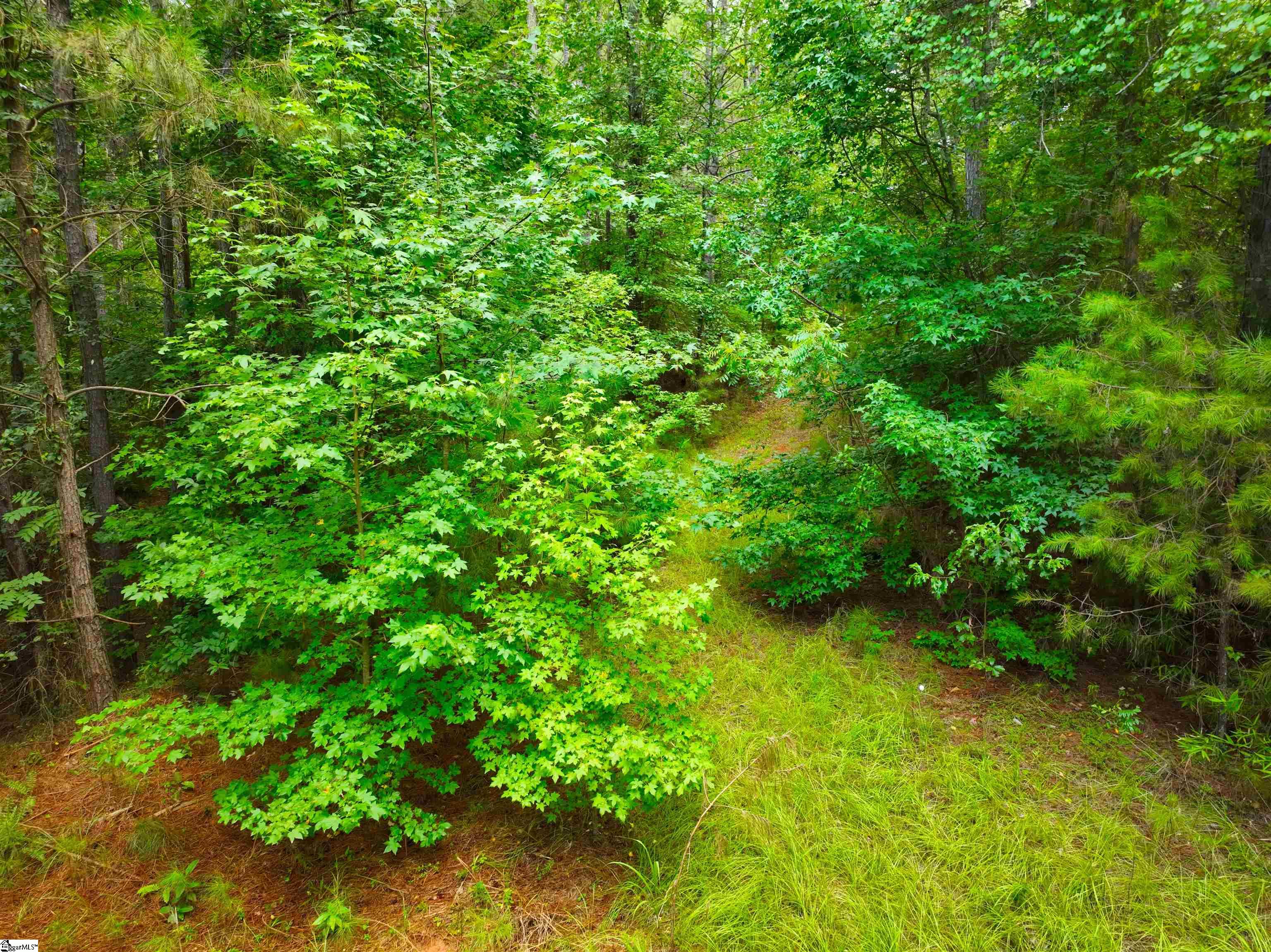 162 Sarah Simpson Road Property Photo 13