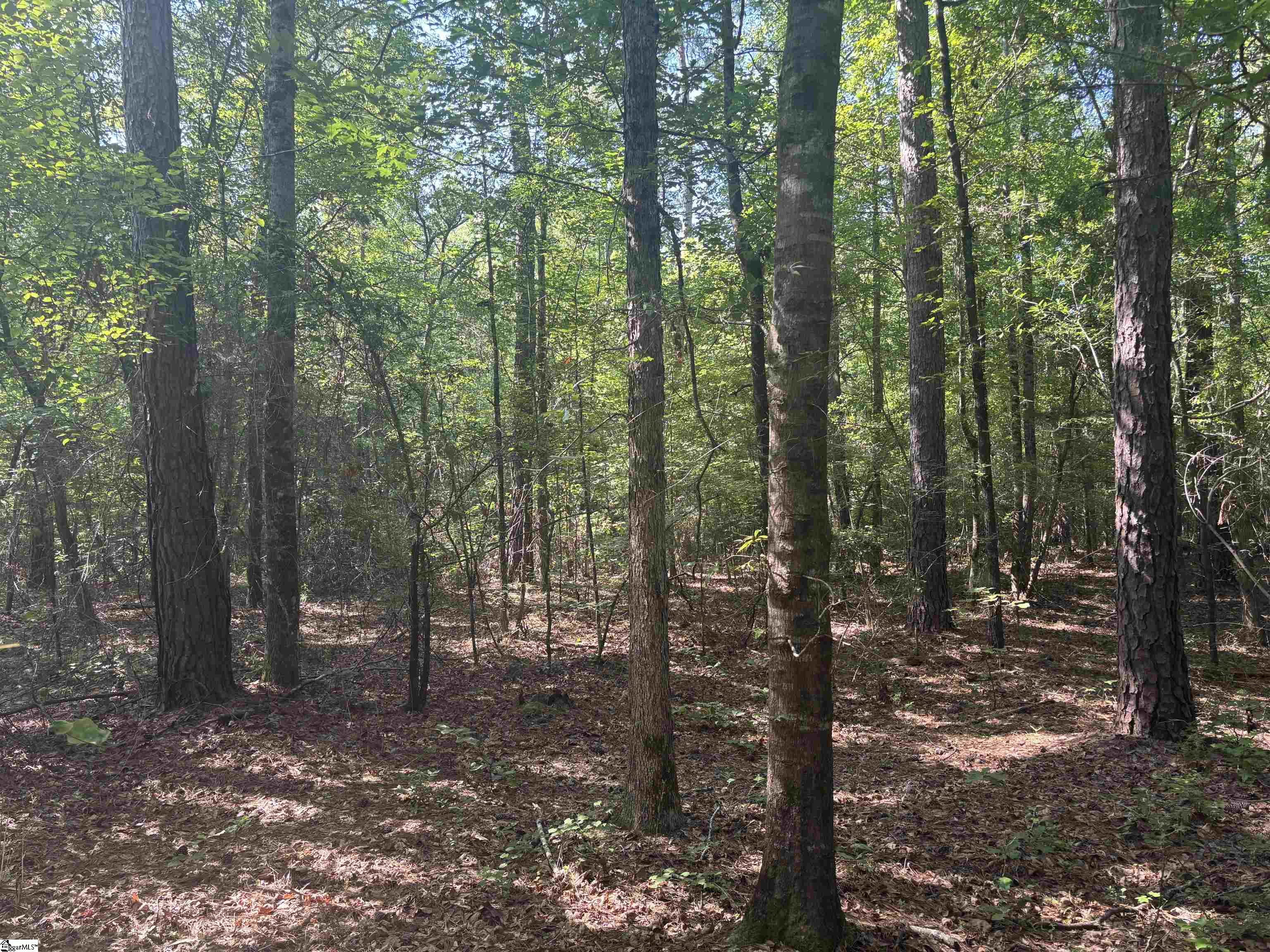 Old Calhoun Falls Road Property Photo 3