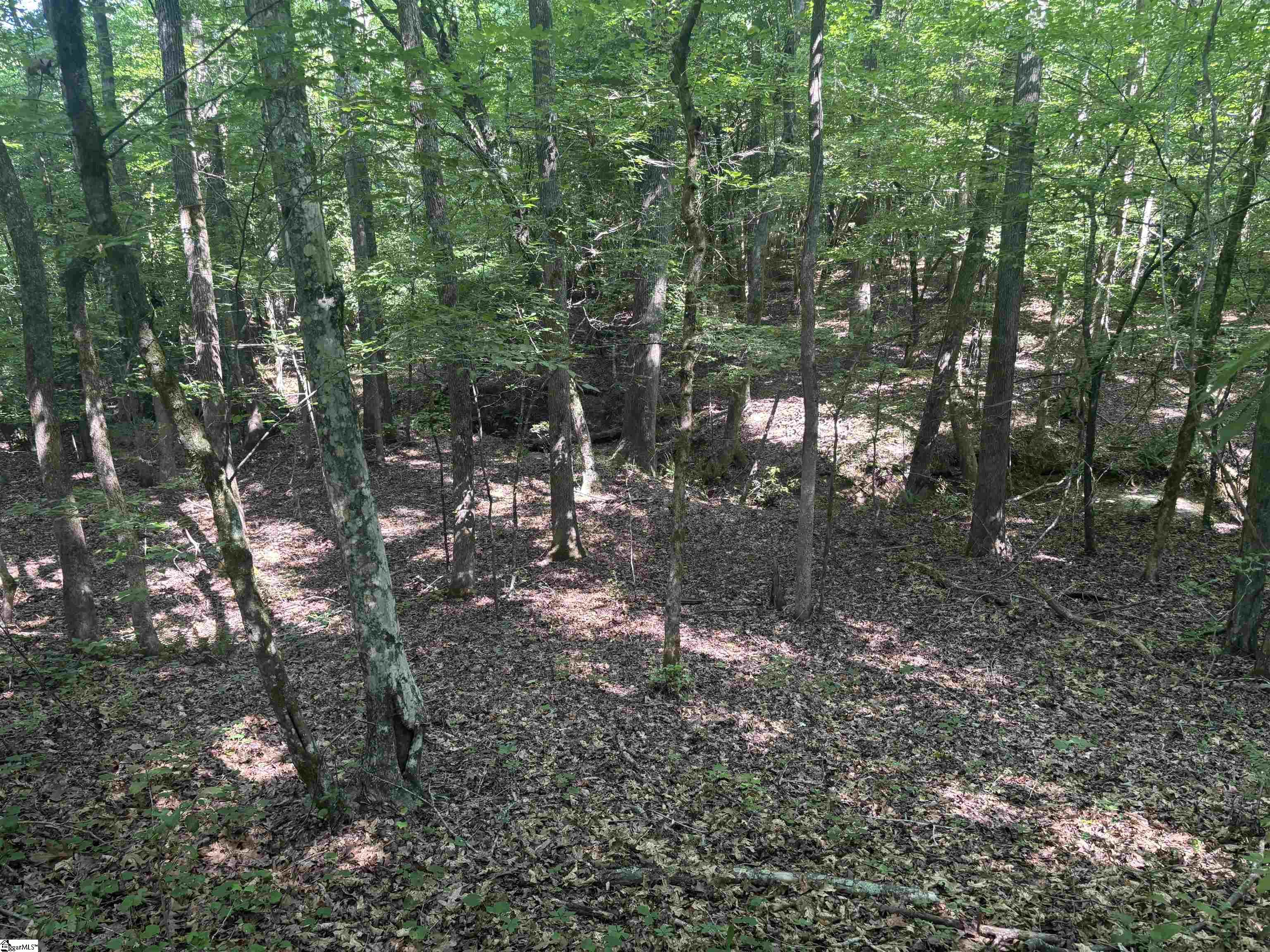 Old Calhoun Falls Road Property Photo 4