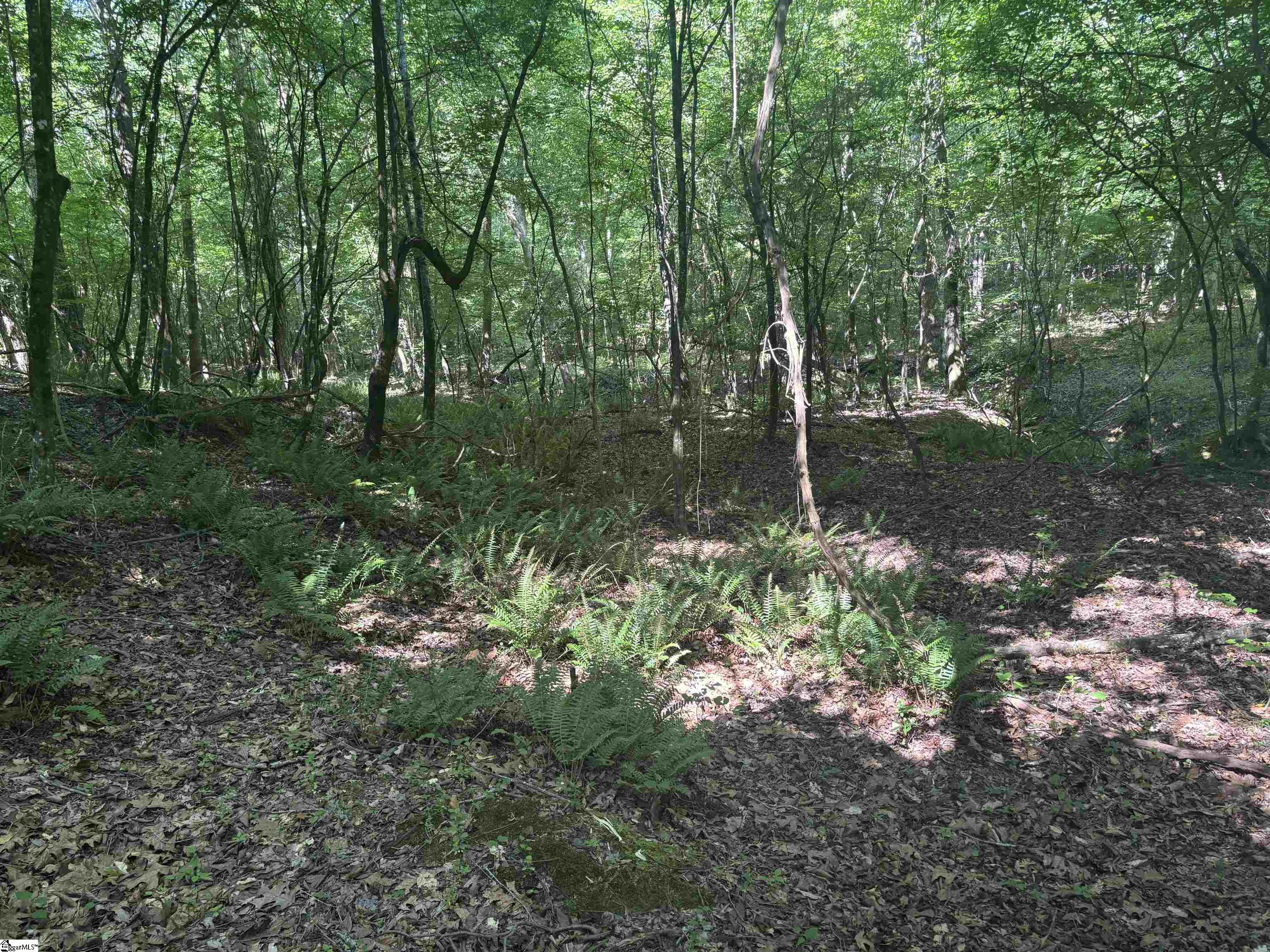 Old Calhoun Falls Road Property Photo 5