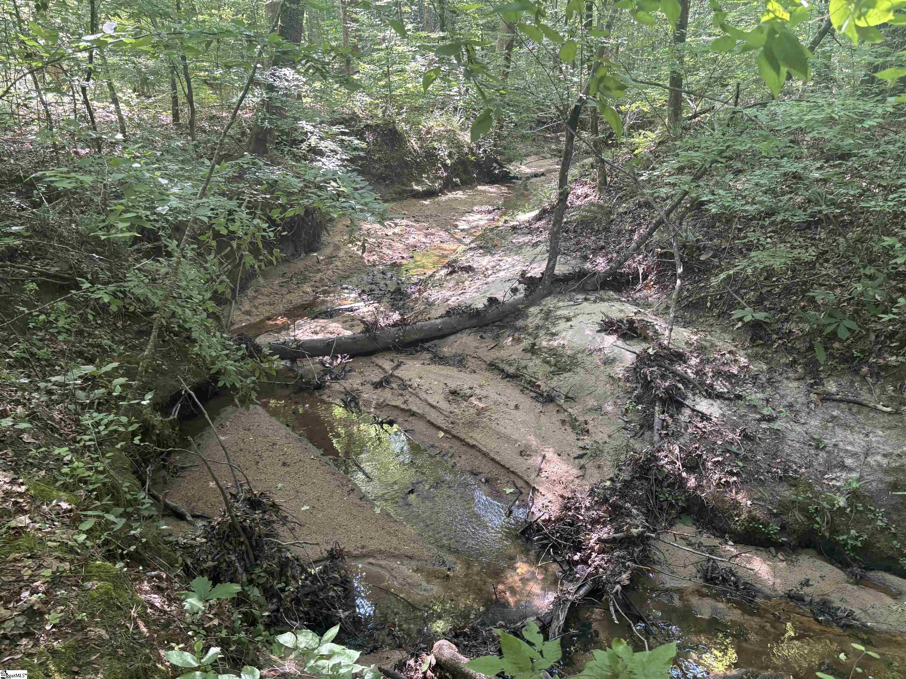 Old Calhoun Falls Road Property Photo 6