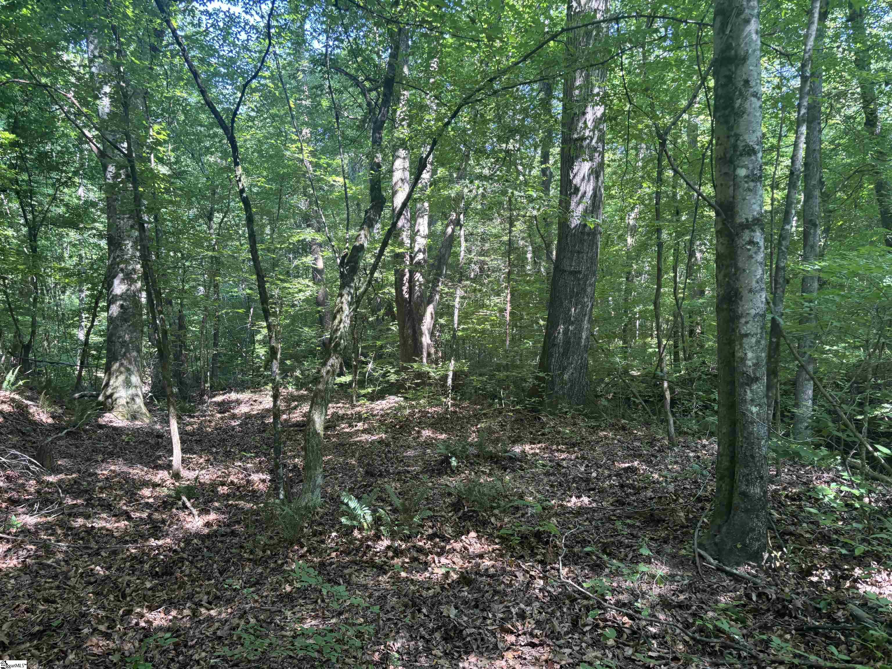 Old Calhoun Falls Road Property Photo 9