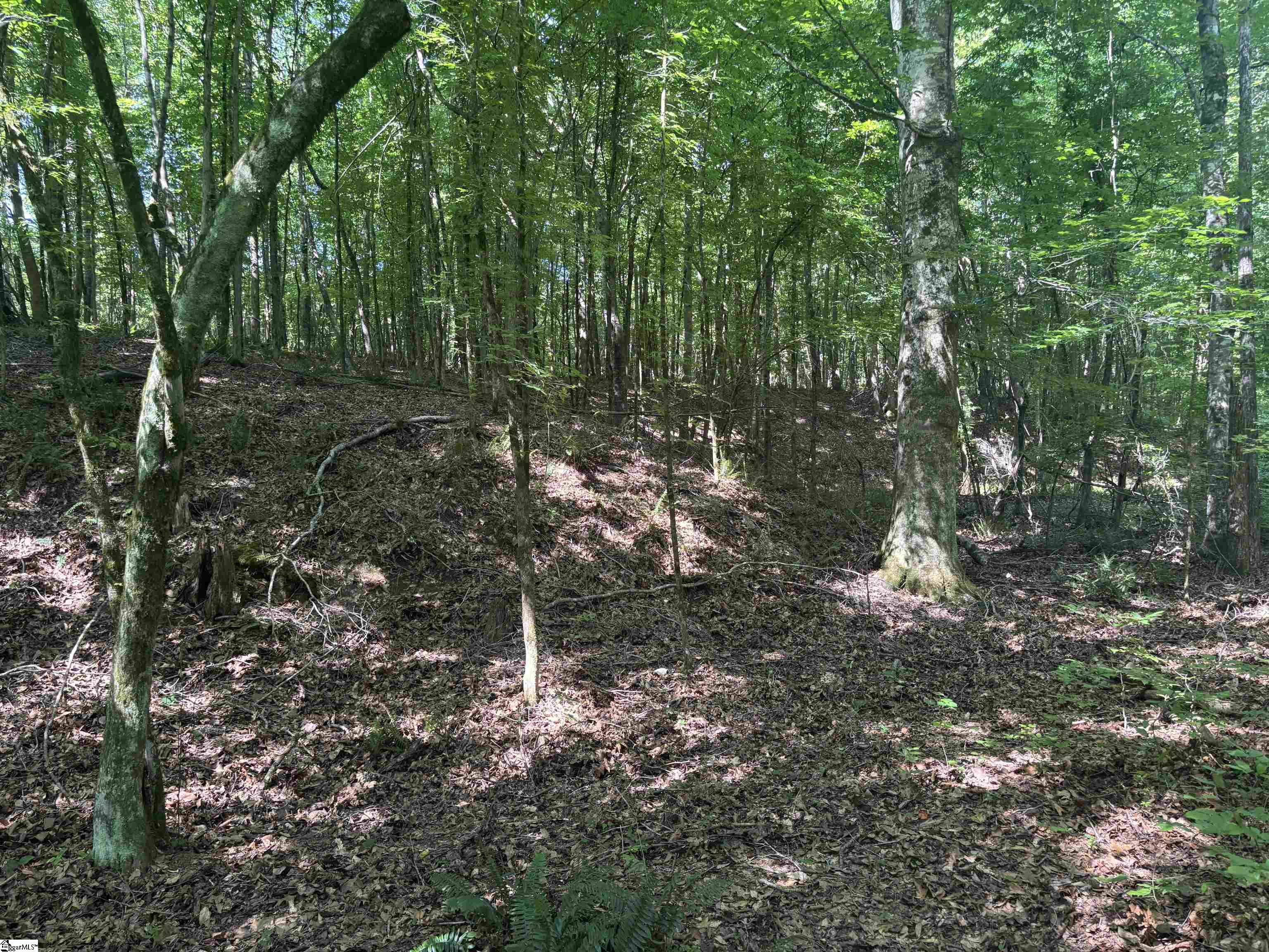 Old Calhoun Falls Road Property Photo 10