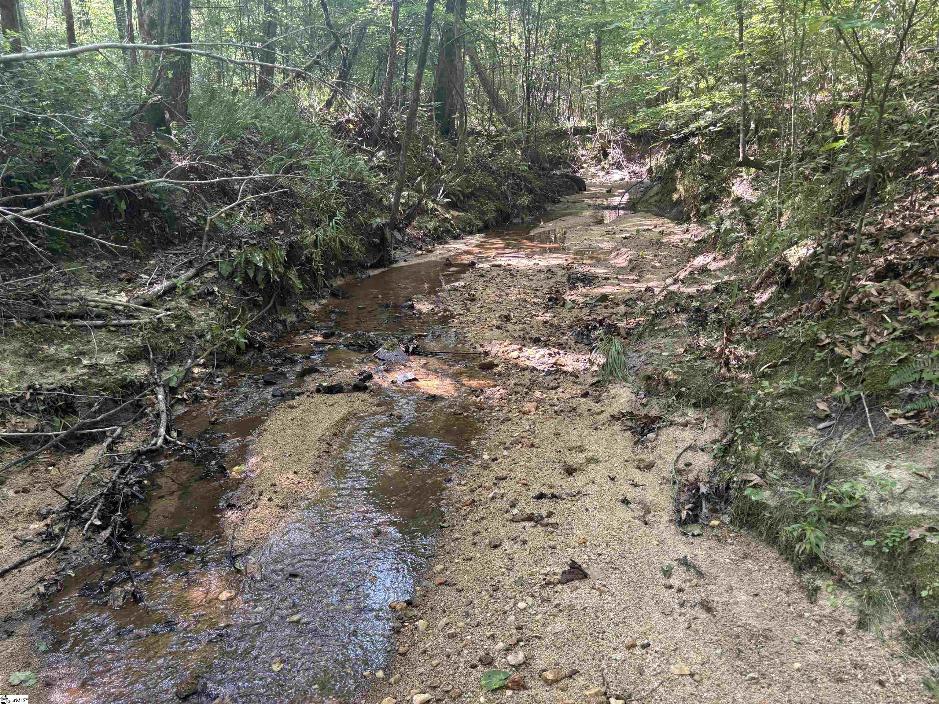 Old Calhoun Falls Road Property Photo 11