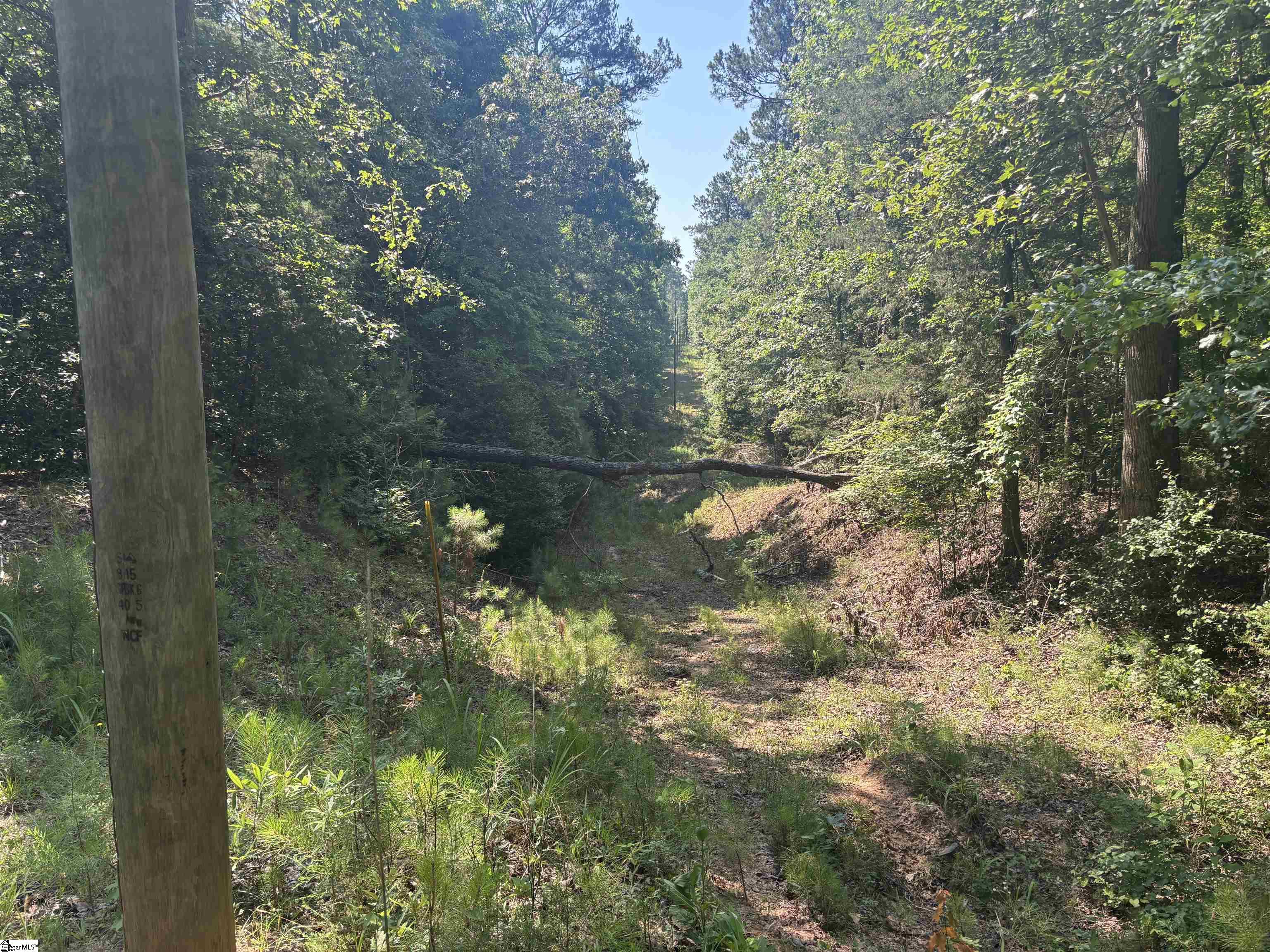 Old Calhoun Falls Road Property Photo 12