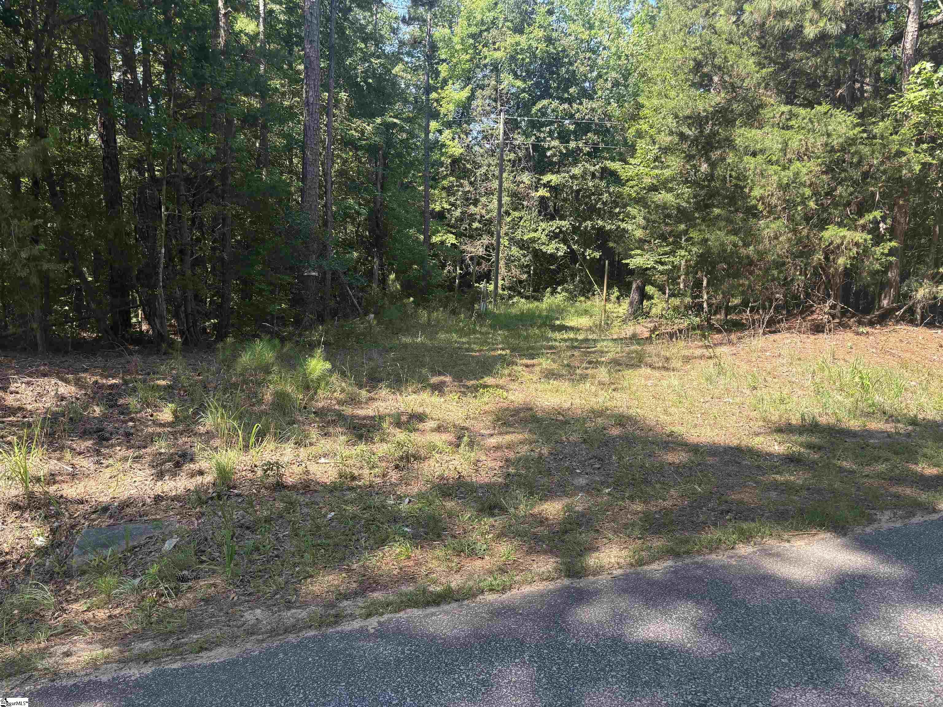 Old Calhoun Falls Road Property Photo 13