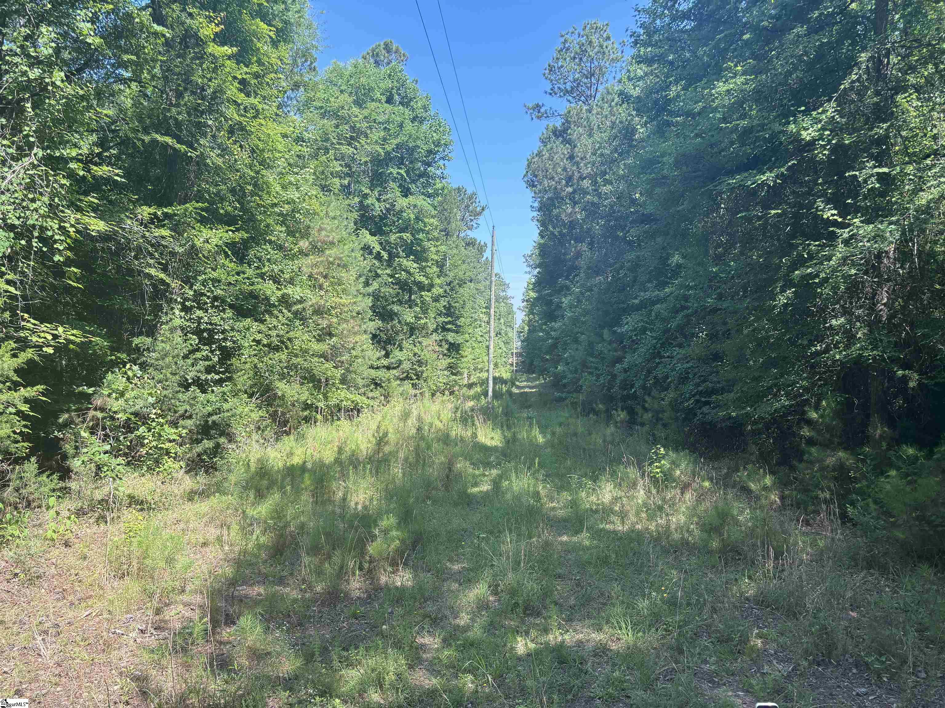 Old Calhoun Falls Road Property Photo 16