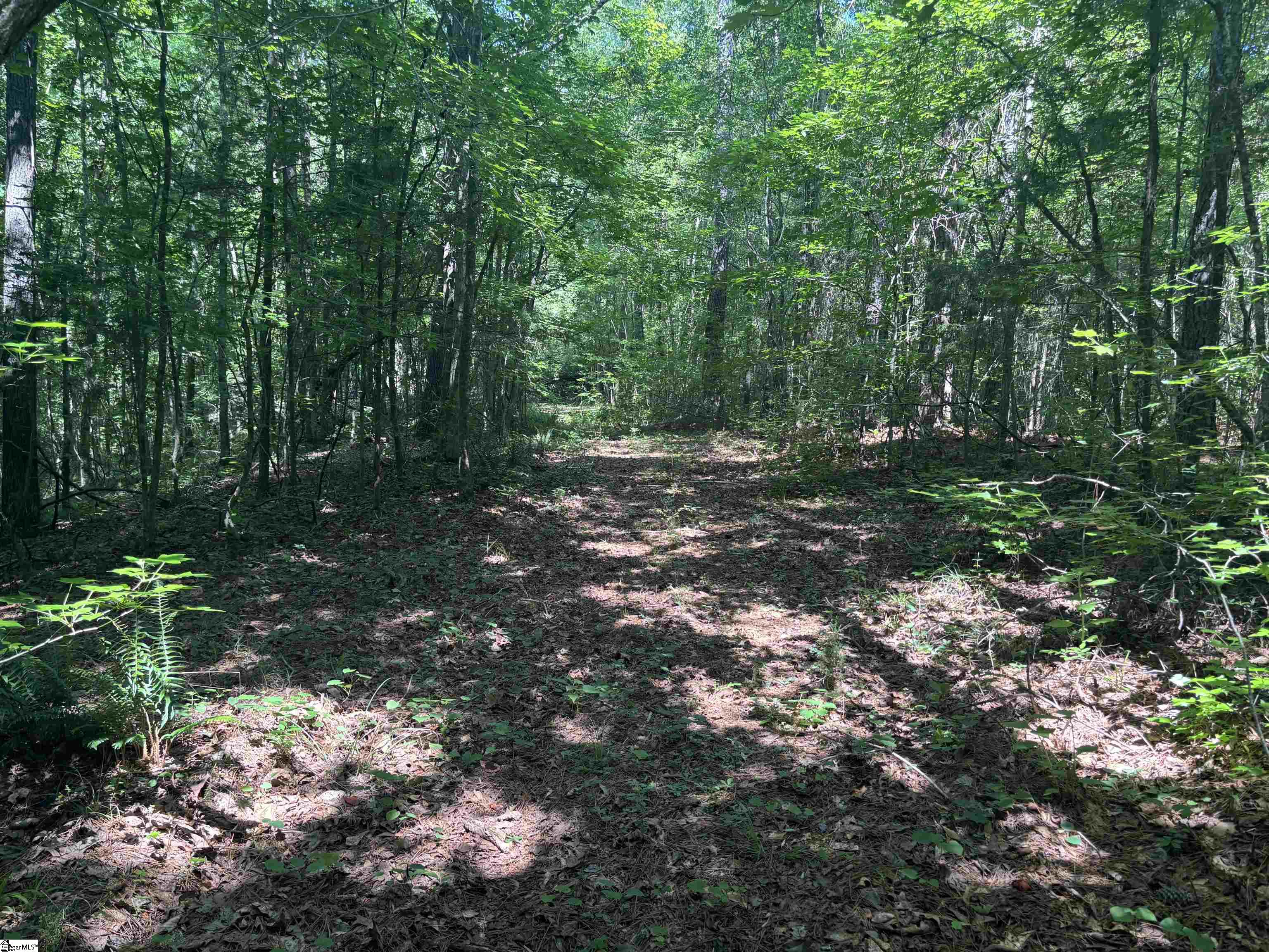 Old Calhoun Falls Road Property Photo 21