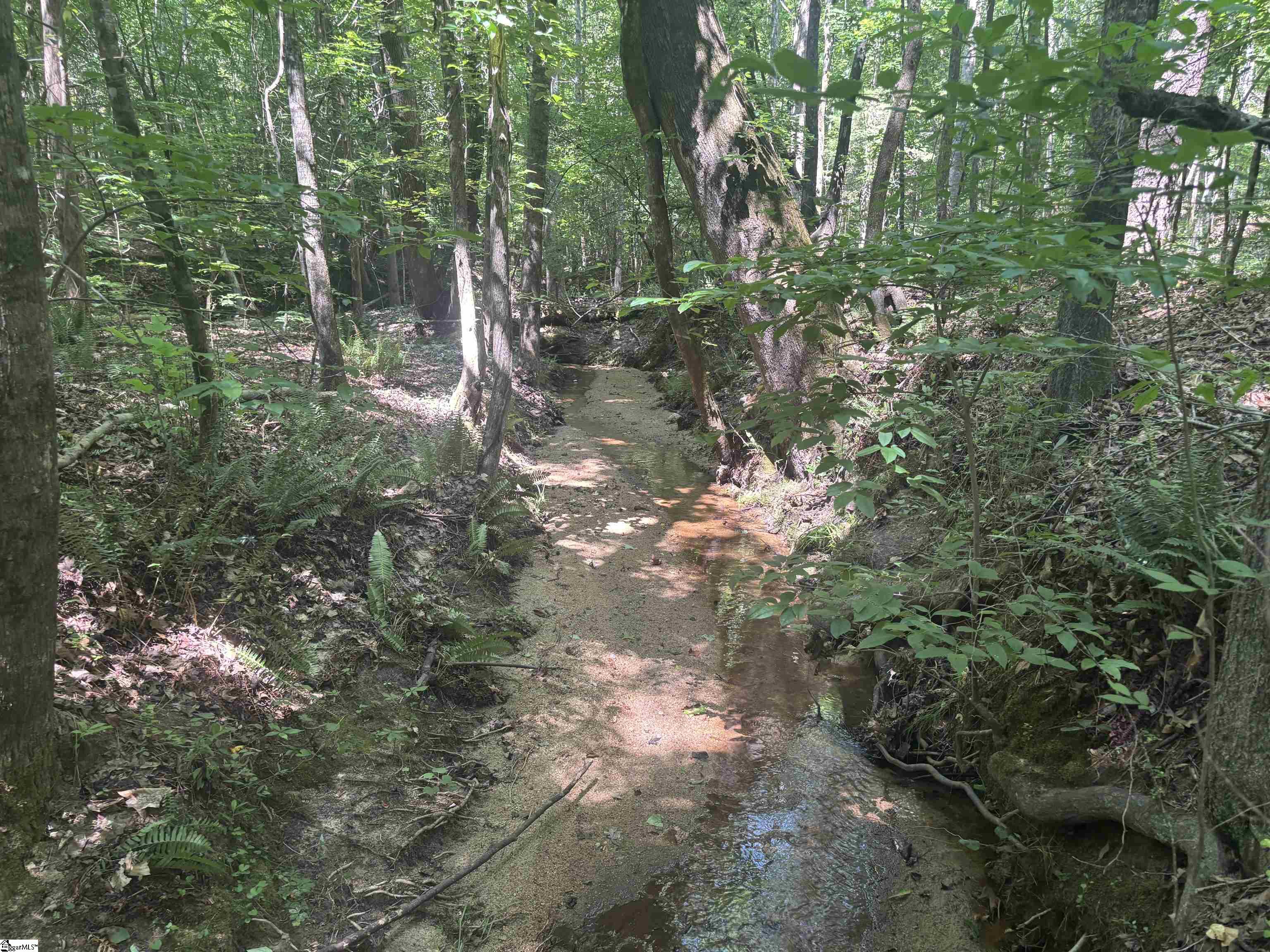 Old Calhoun Falls Road Property Photo 22
