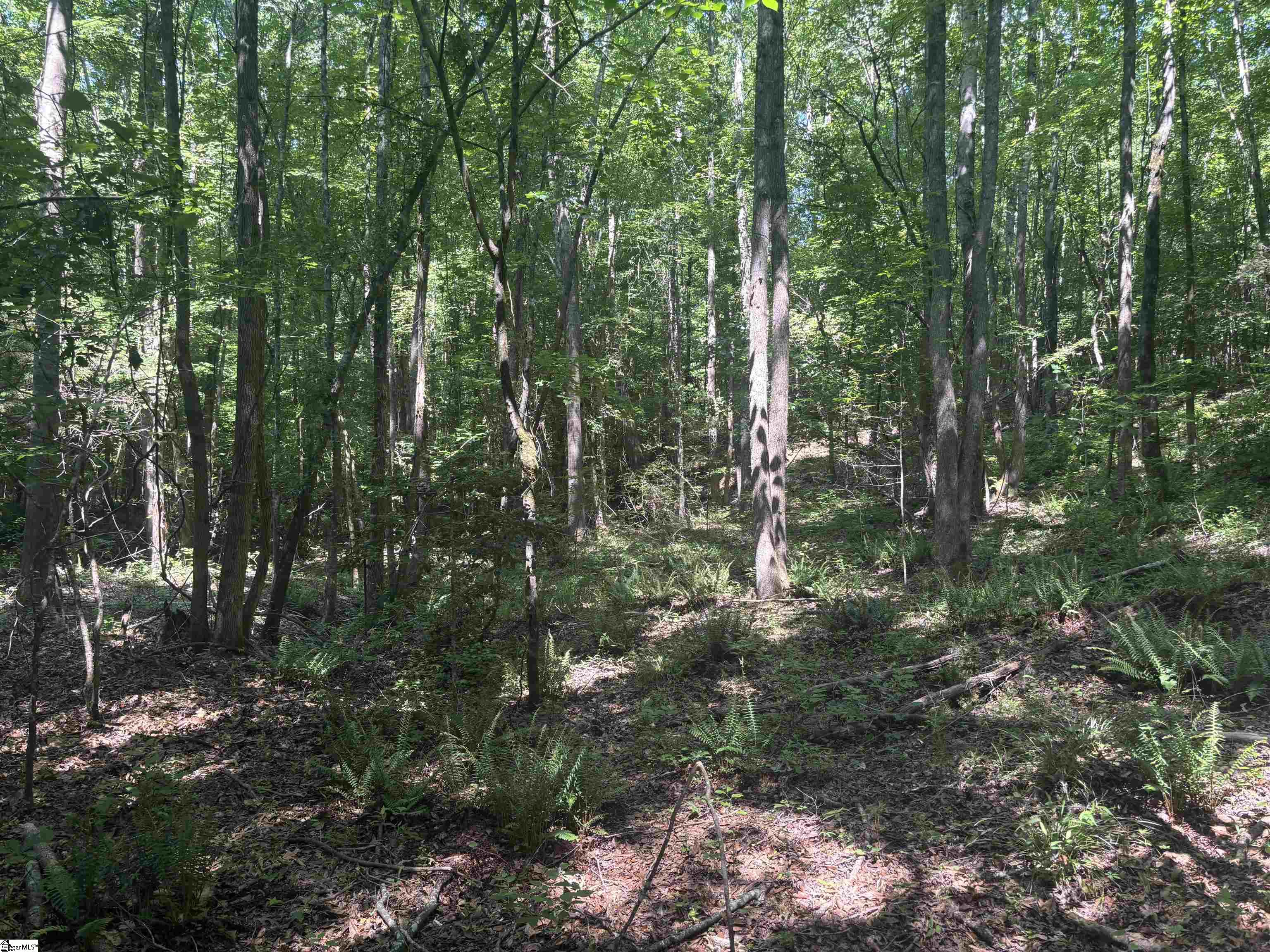 Old Calhoun Falls Road Property Photo 23