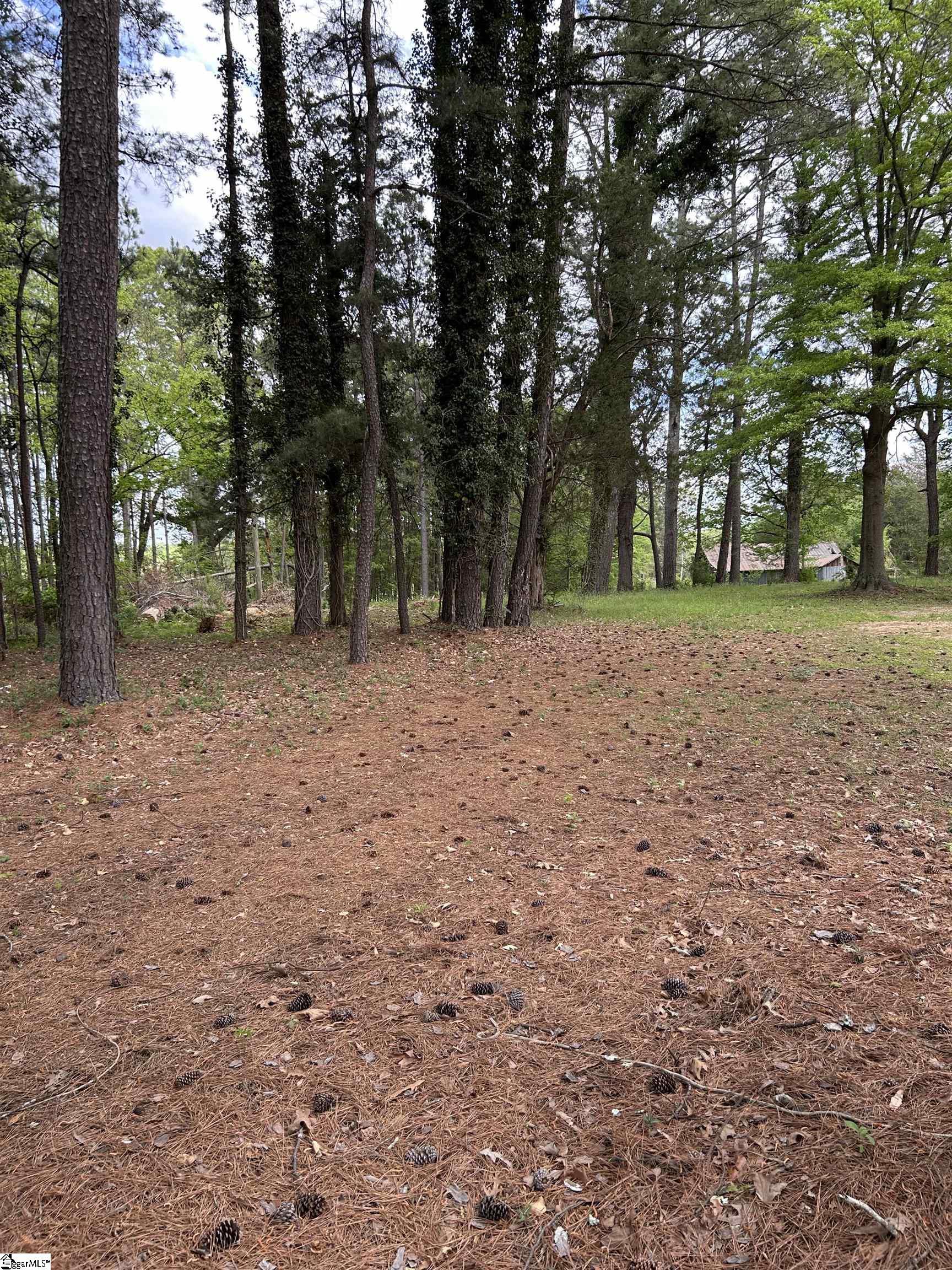 1329 W Georgia Road Property Photo 5