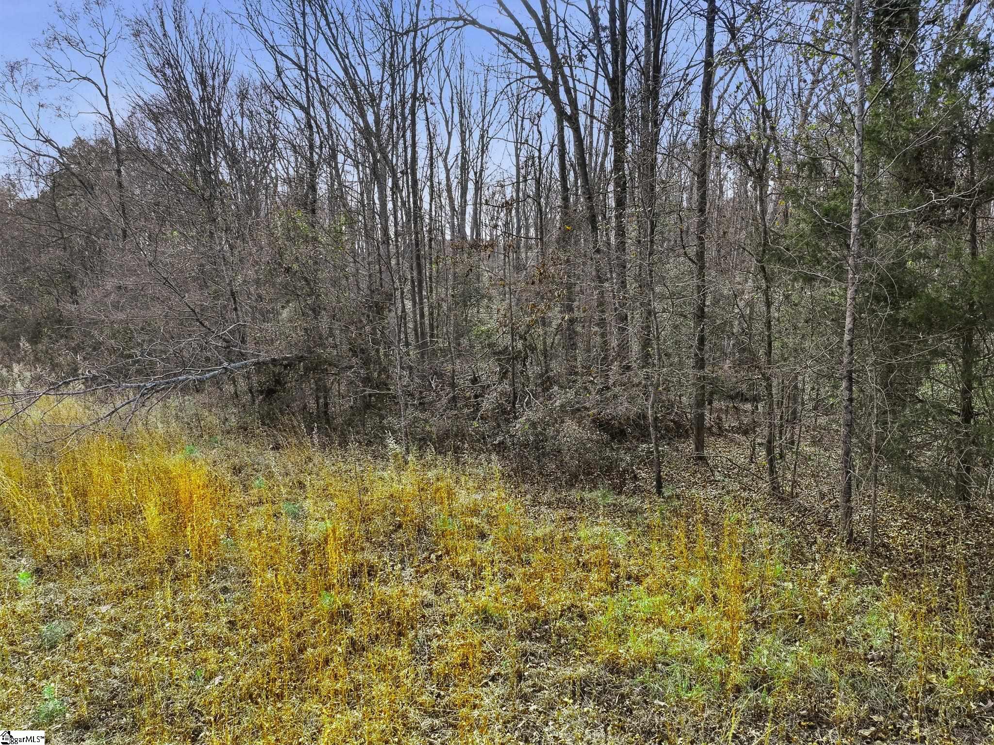 1111 Fork Shoals Road Property Photo 13
