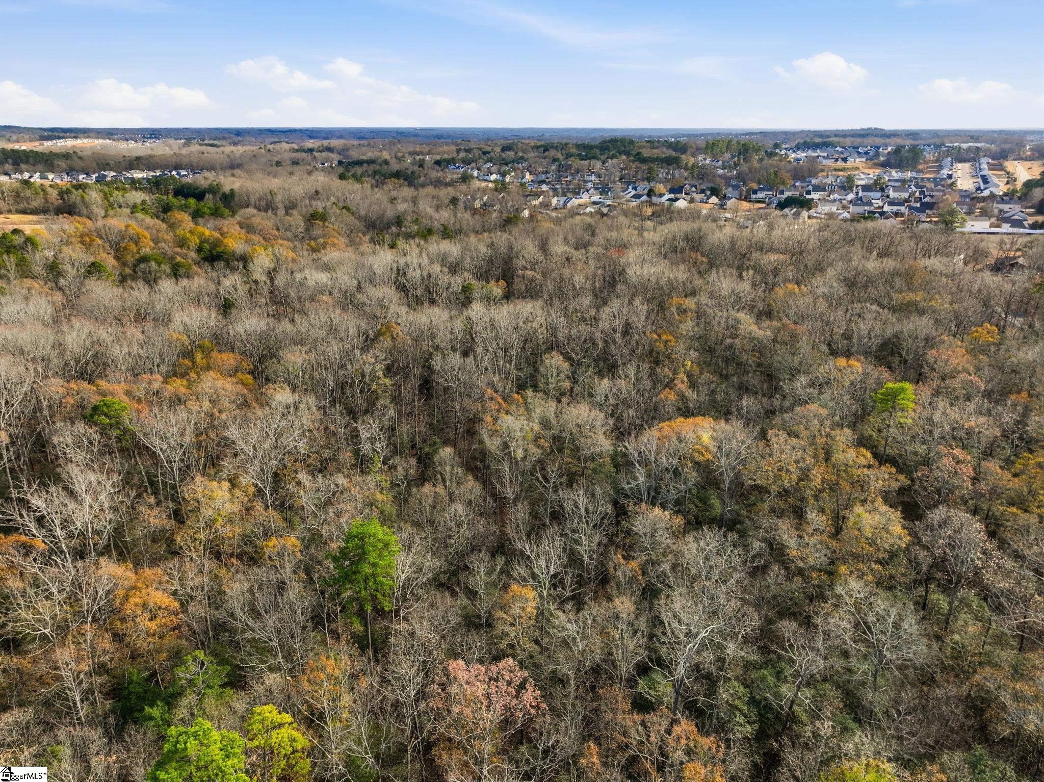 1111 Fork Shoals Road Property Photo 21