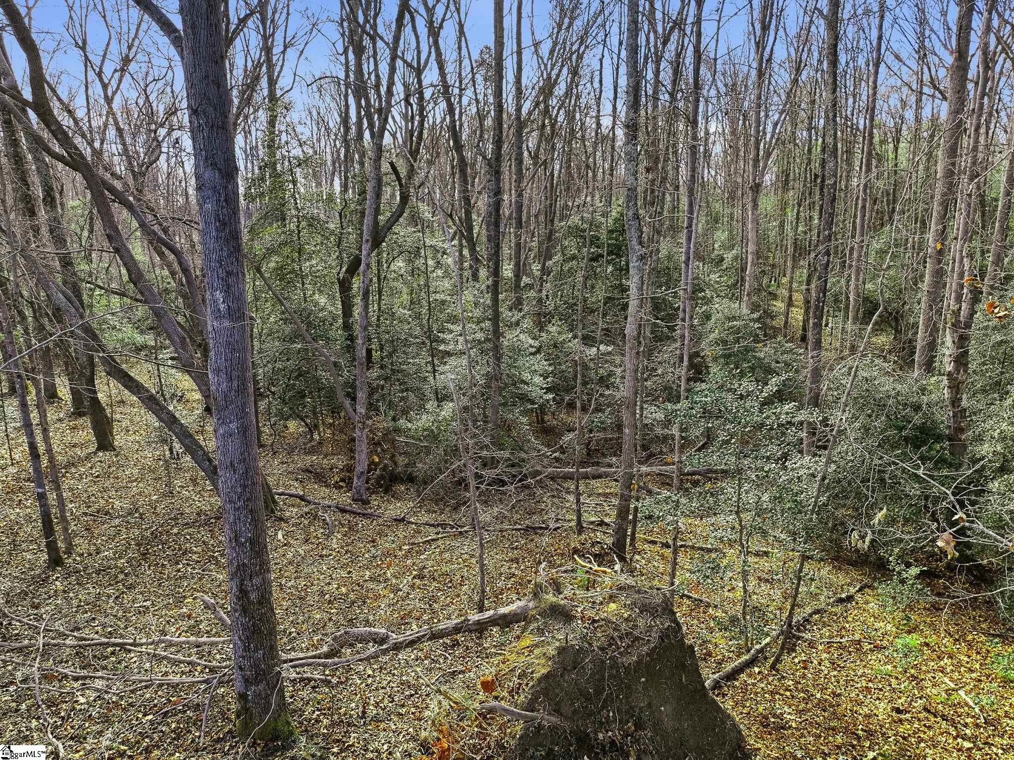 1111 Fork Shoals Road Property Photo 12