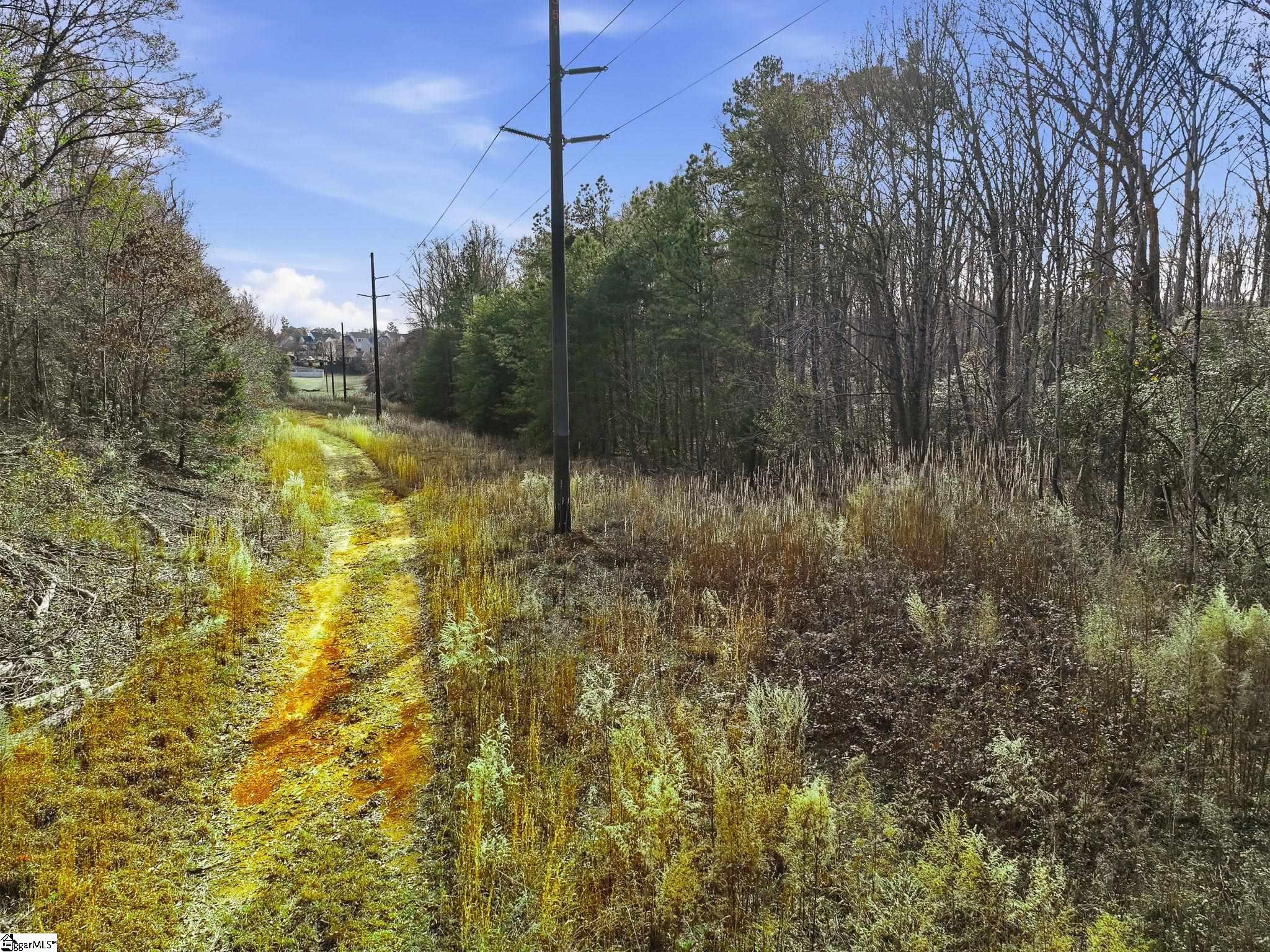 1111 Fork Shoals Road Property Photo 14