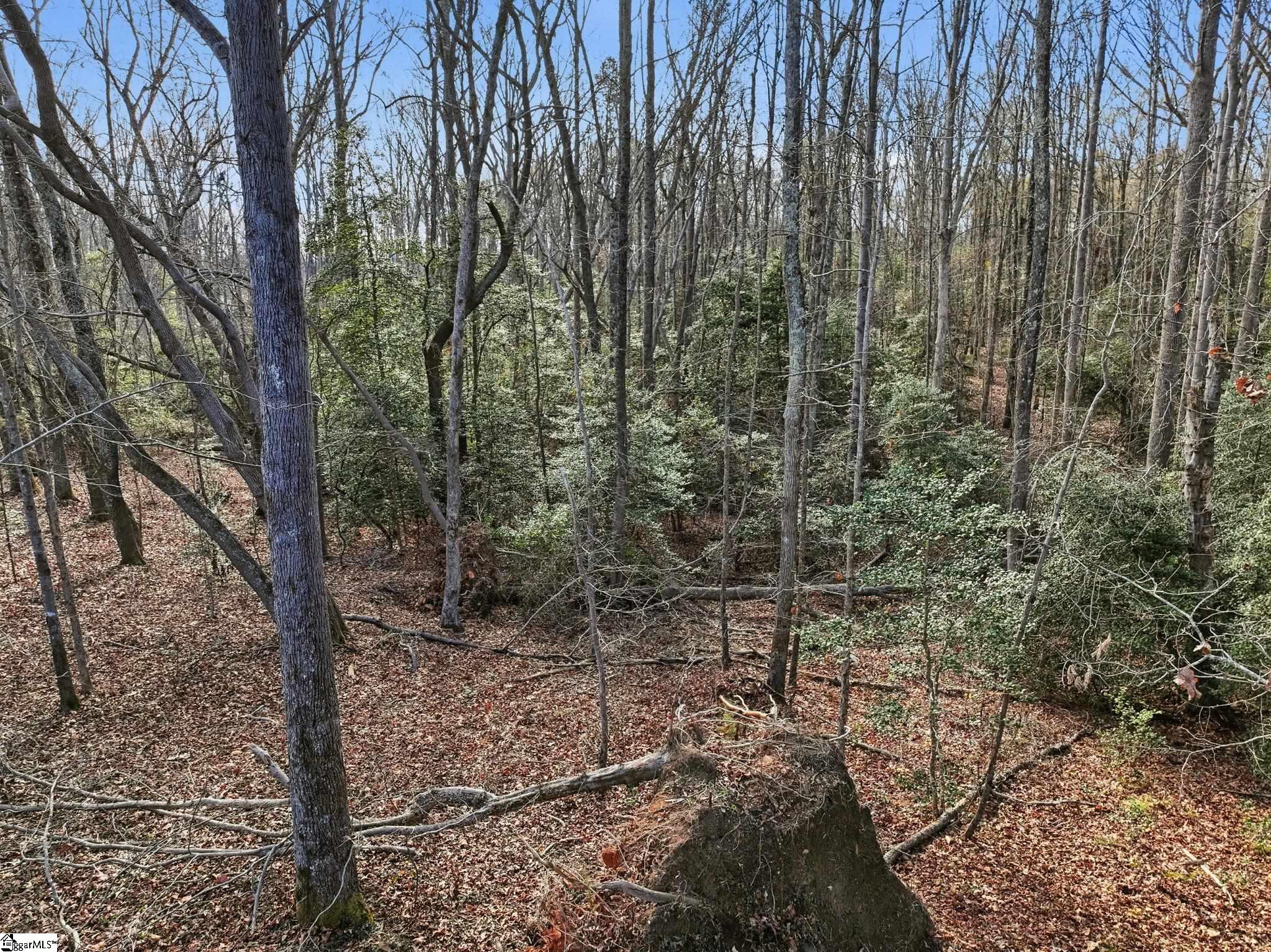 1111 Fork Shoals Road Property Photo 28